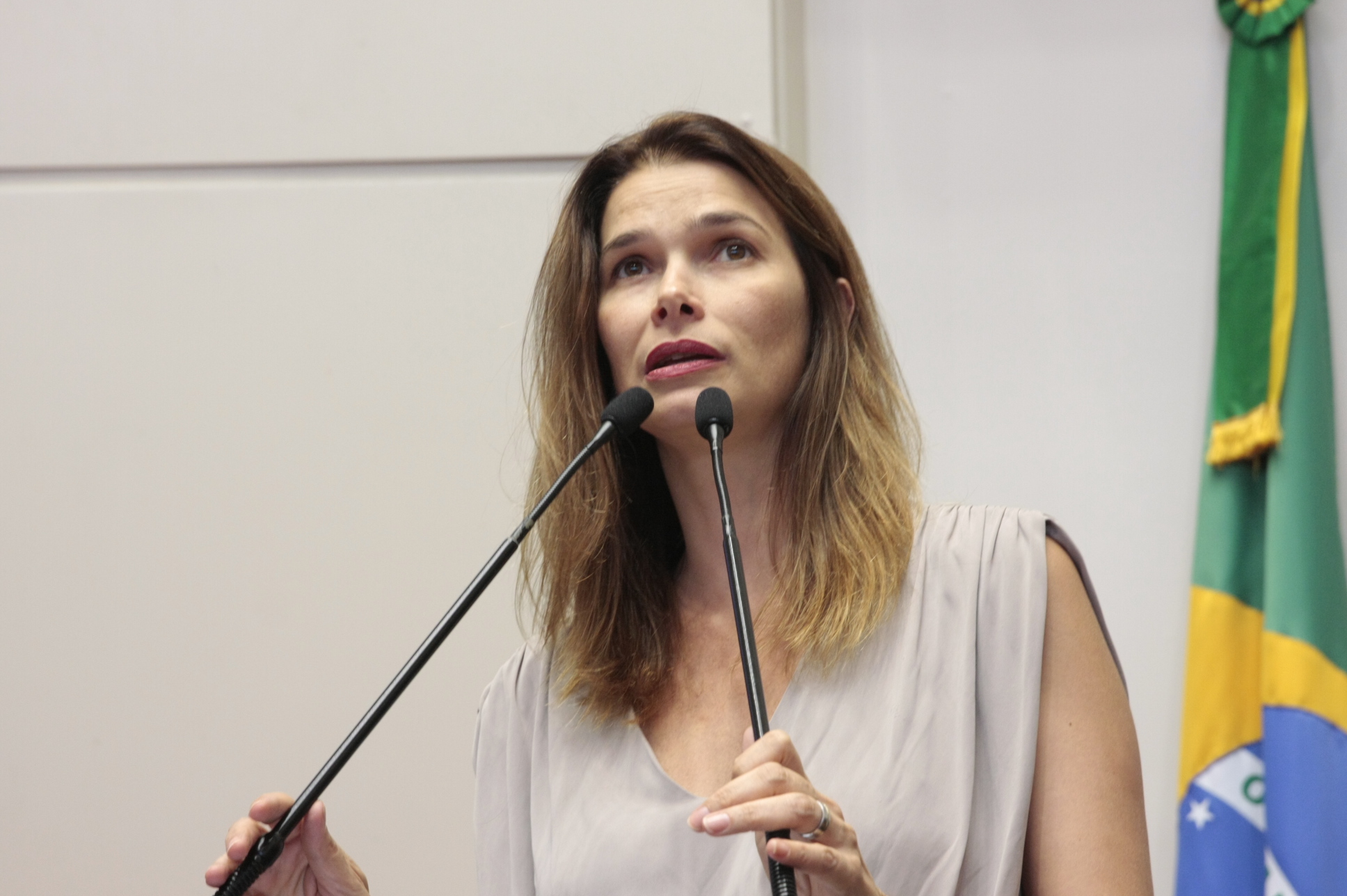 Sessão Plenária - Foto: Eduardo Guedes de Oliveira / Agência AL
