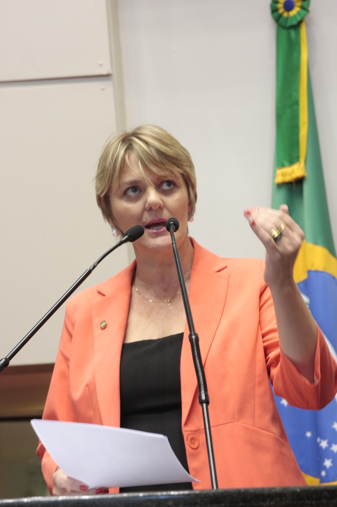 Deputada Luciane apresenta projeto que cria guarnições especiais para o Oeste