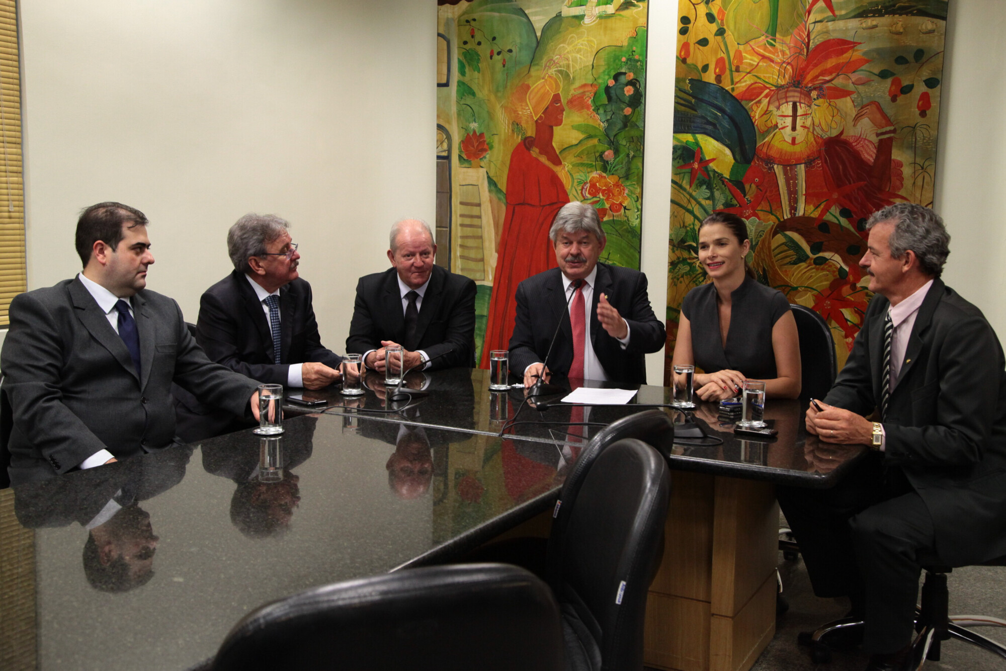 Angela Albino vai presidir CPI das Águas