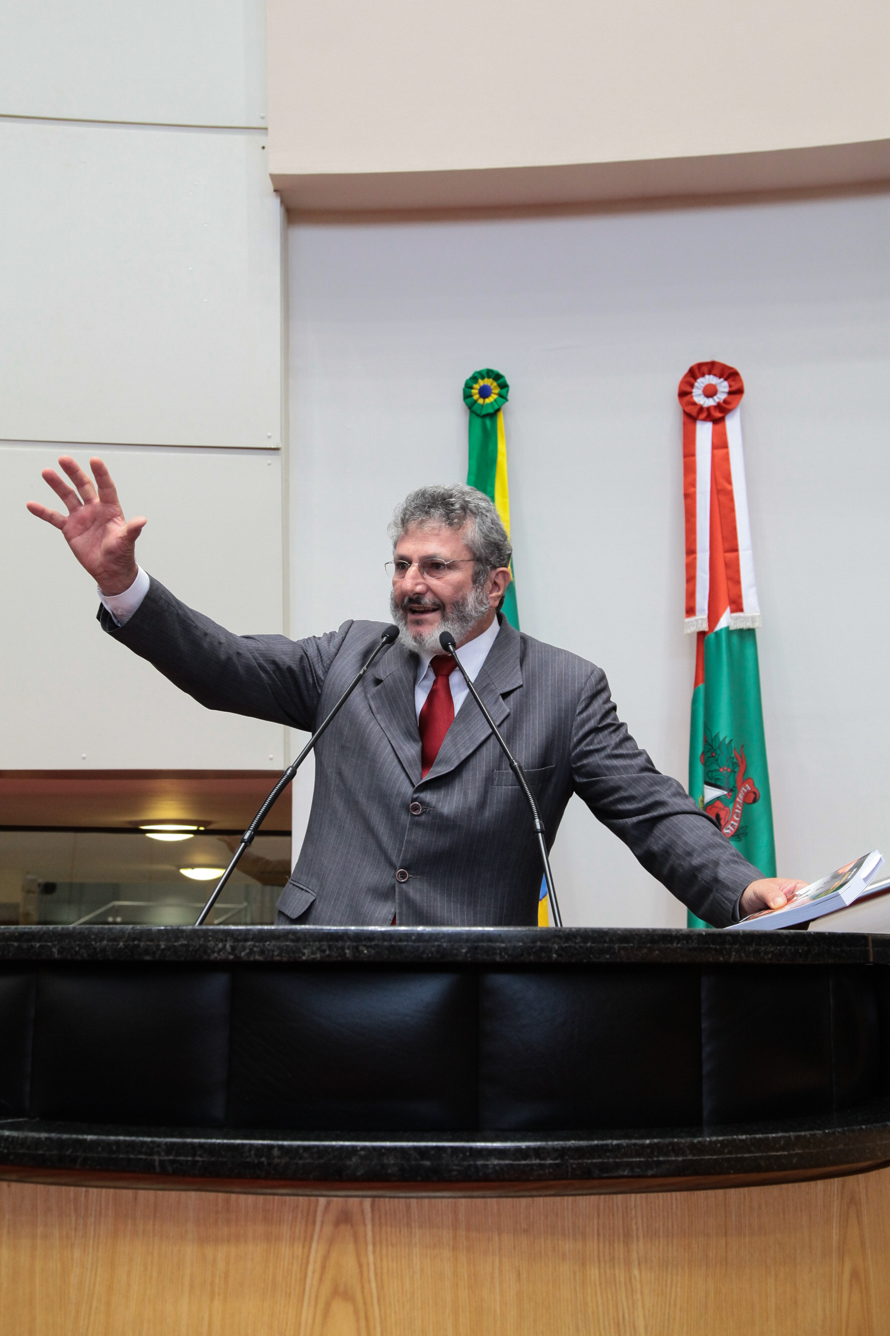 Sessão Ordinária - Dep. Padre Pedro Baldissera - Foto: Juliana Stadnik / Agência AL