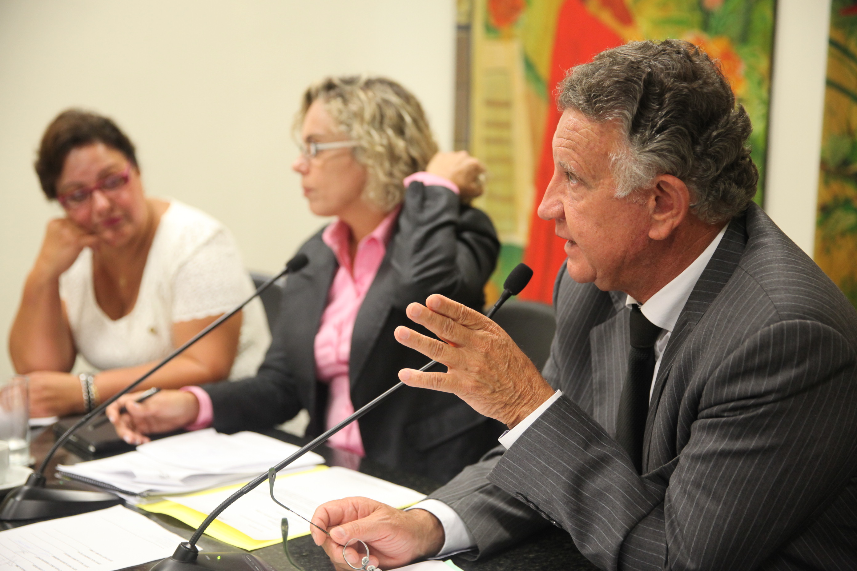 Reunião da Comissão de Turismo e Meio Ambiente - Foto: Lucas Gabriel Diniz / Agência AL