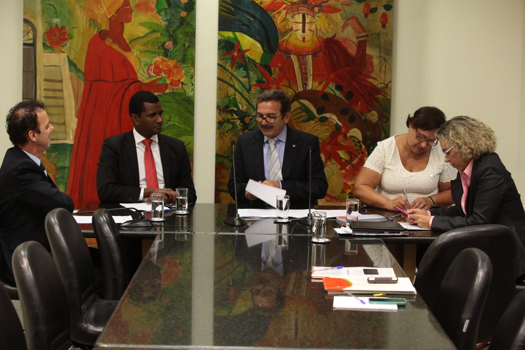 Comissão da Criança e do Adolescente apresenta relatório de 2013