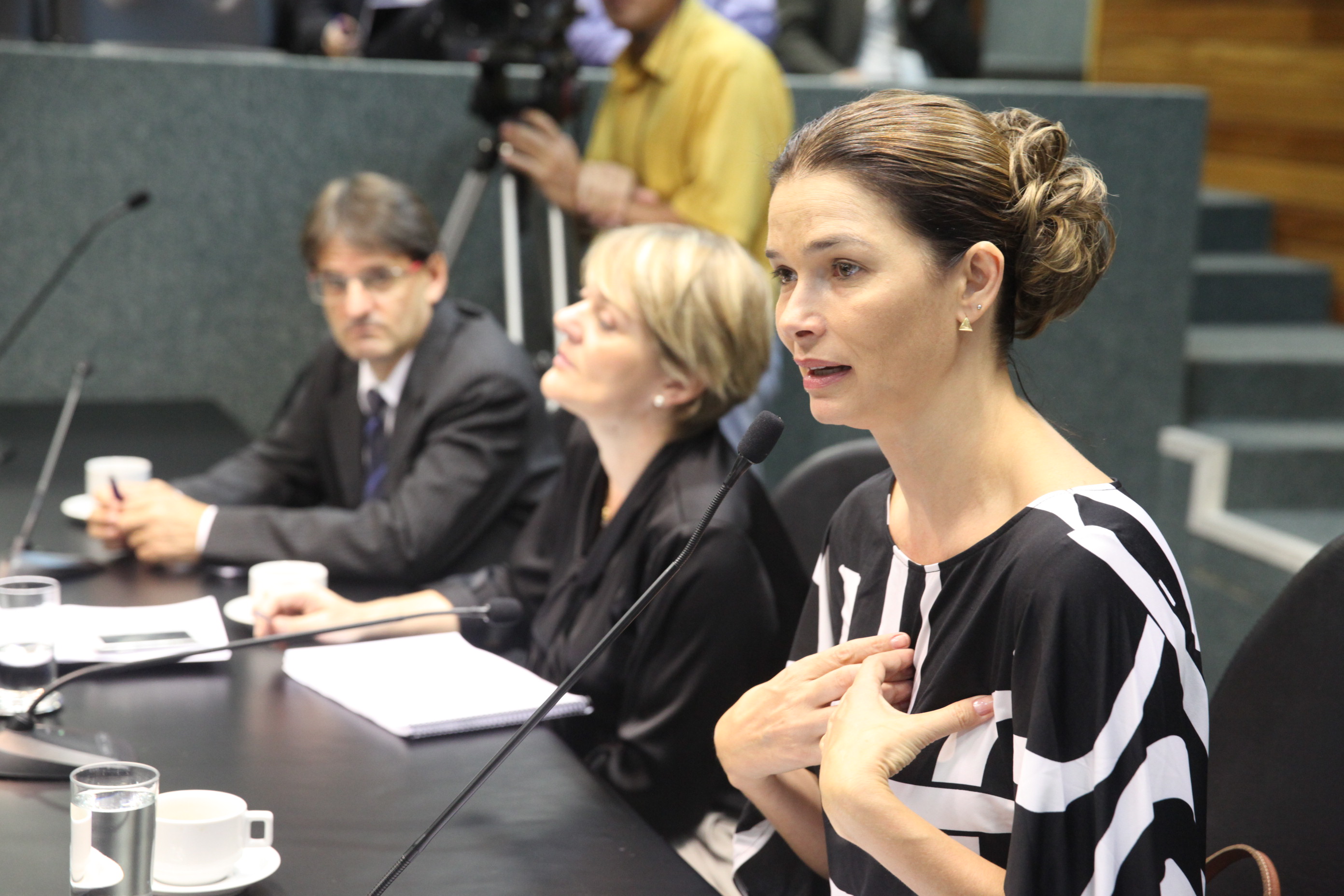 Reunião da Comissão de Finanças e Tributação - Foto: Lucas Gabriel Diniz / Agência AL