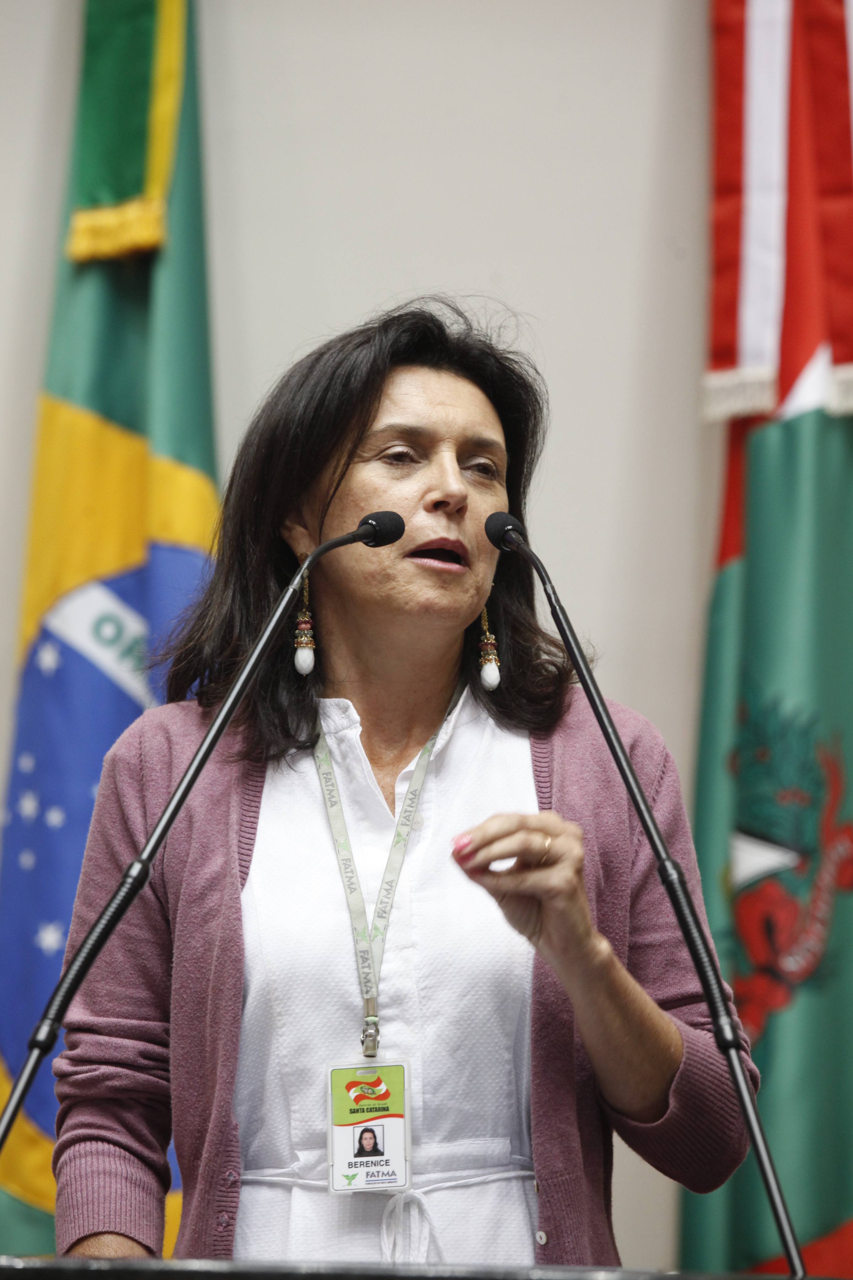 Sessão Ordinária Plenário Osni Régis   Patricia Soliani      Educadora Ambiental  da FATMA    Foto Carlos Kilian/Agencia AL