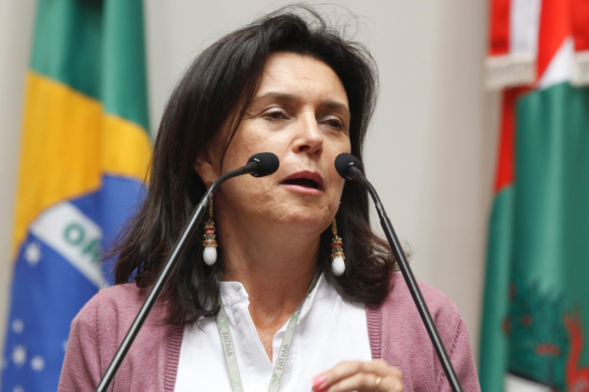 Em greve, servidoras da Fatma pronunciam-se em Plenário