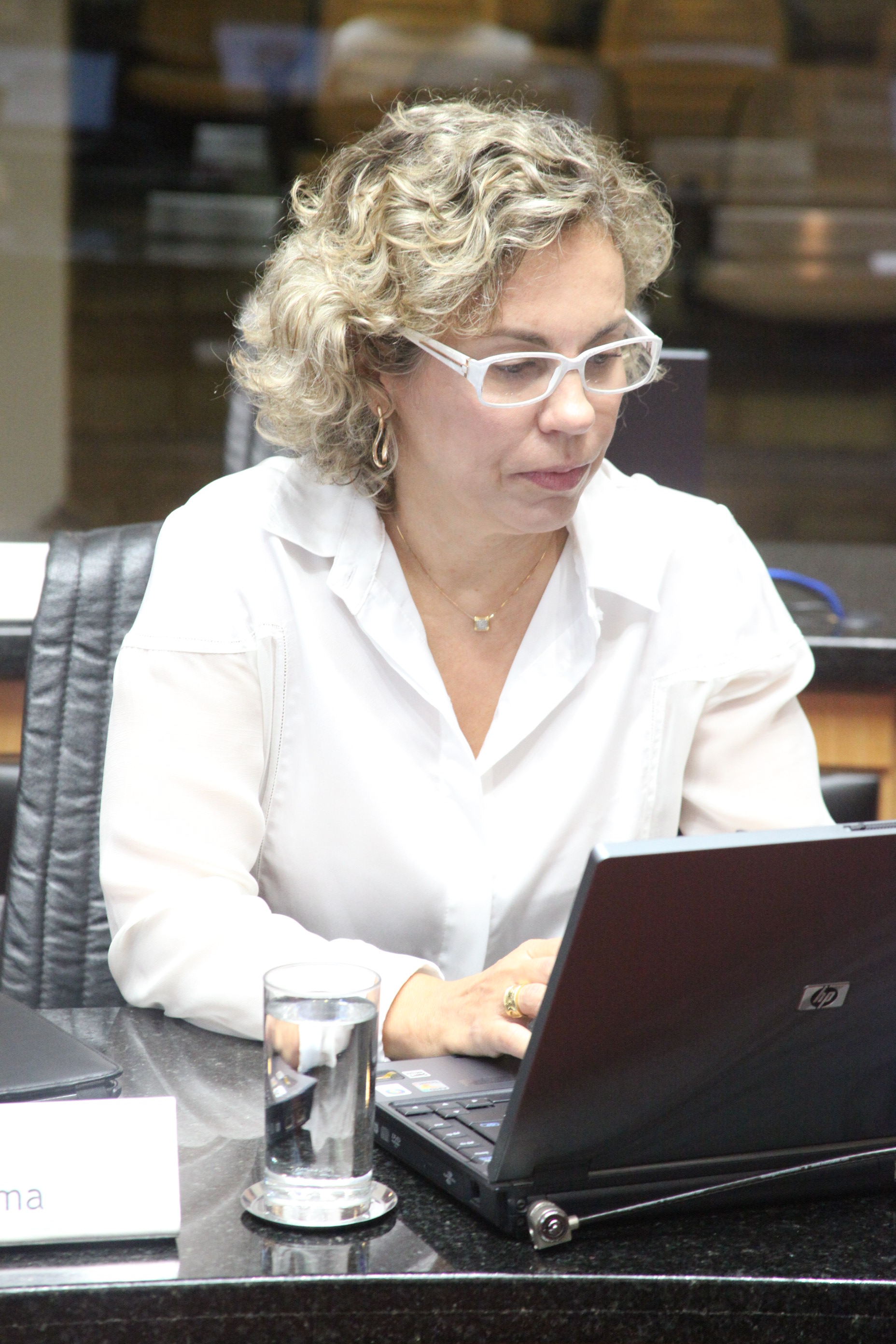 Sessão Ordinária. Foto: Fábio Queiroz / Agência AL