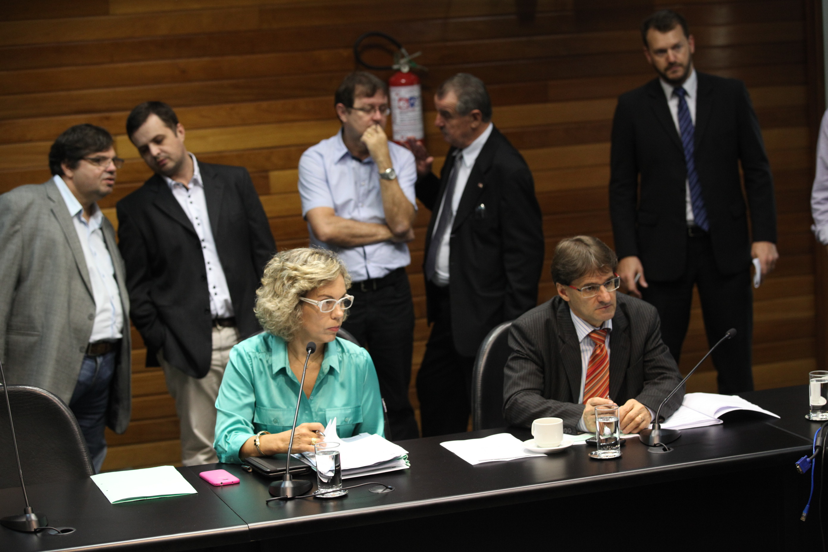 Comissão de Constituição e Justiça
