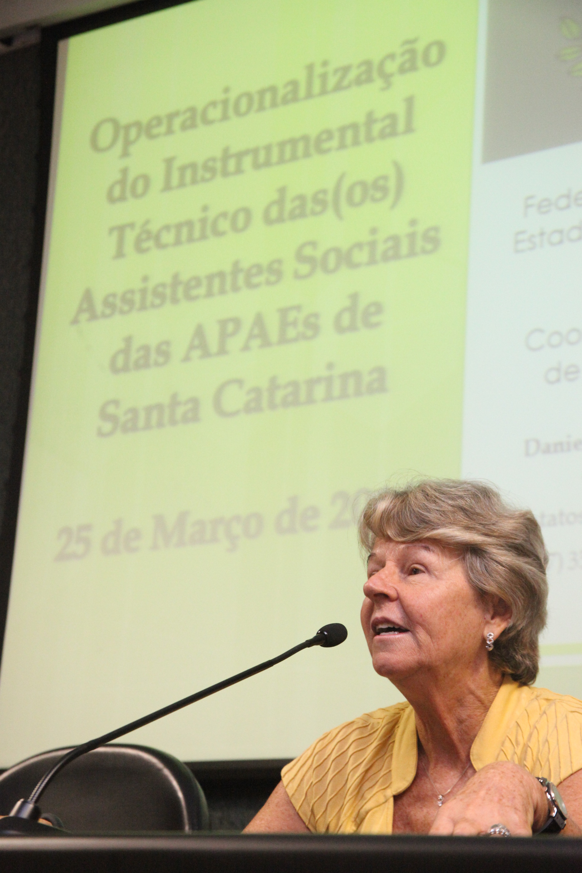 Alice Kuerten. Seminário de operacionalização do instrumental técnico dos assistentes sociais das APAEs de Santa Catarina. Foto: Fábio Queiroz / Agência AL