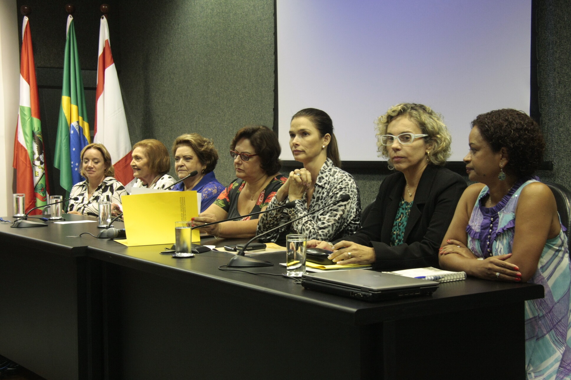 Revista conta história do voto feminino em Santa Catarina
