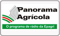 Panorama Agrícola