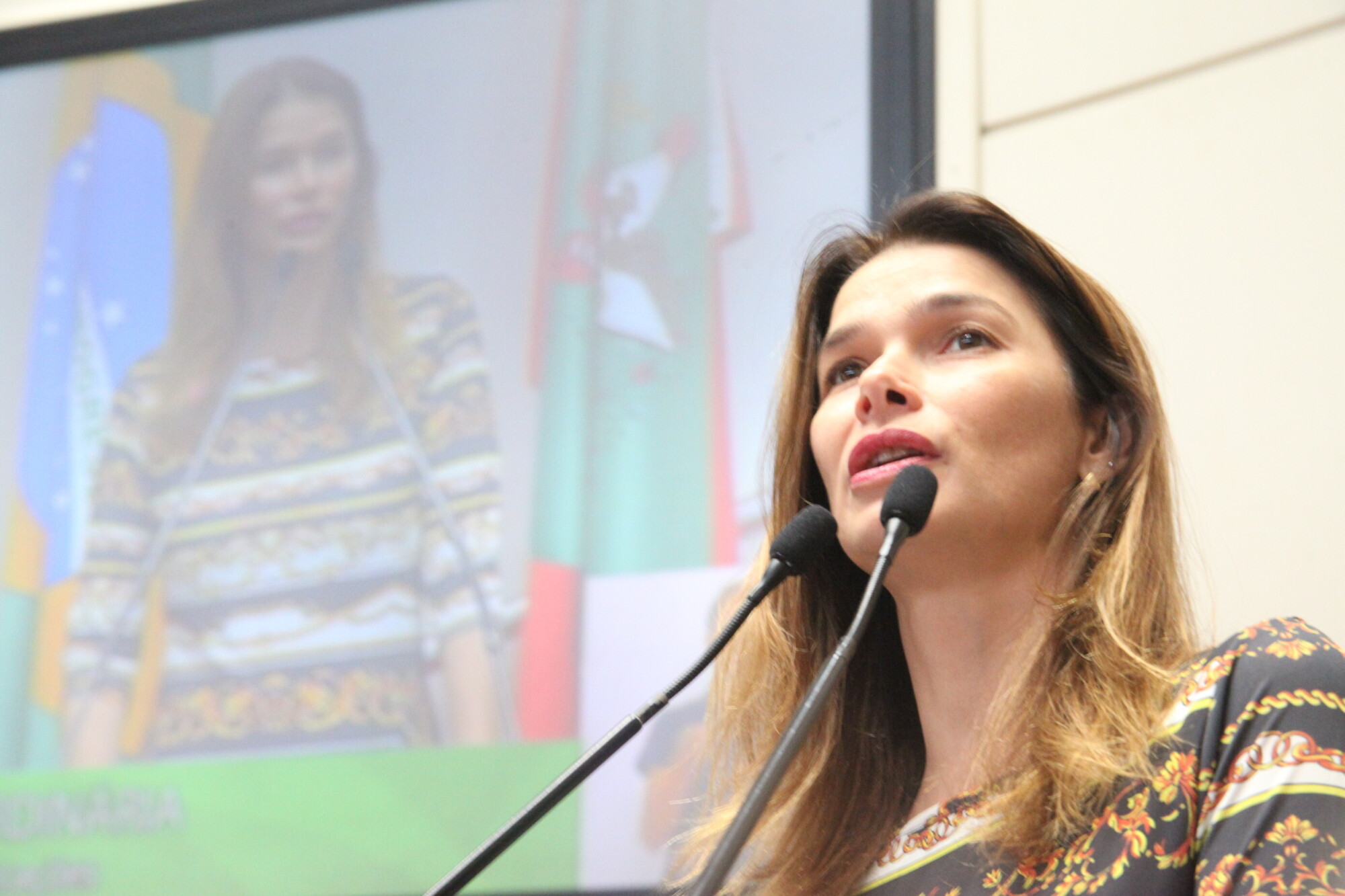 Deputada pede agilidade na apresentação de projetos para o Fundam