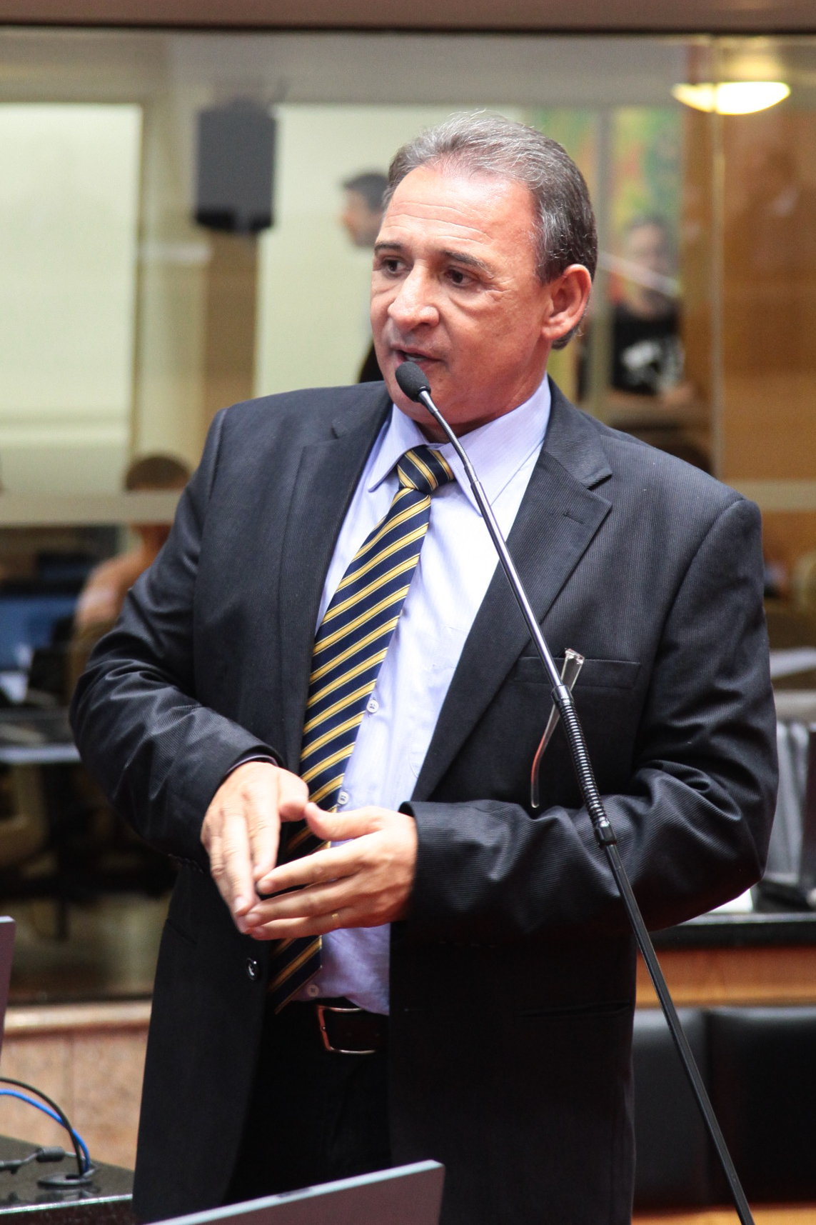 Sessão Ordinária - Plenário Osni Régis - Dep. Dóia Guglielmi (PSDB) - Foto: Juliana Stadnik / Agência AL
