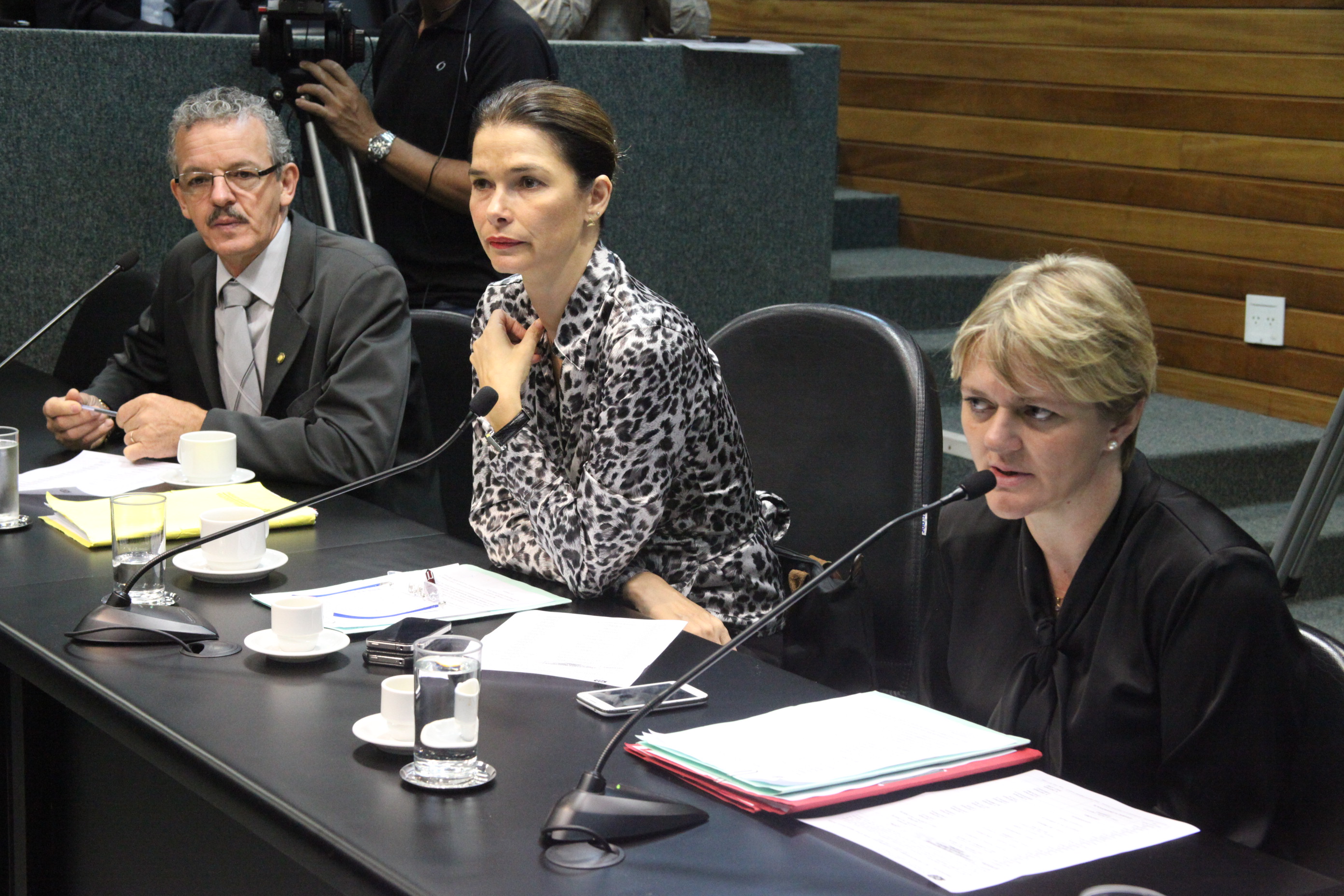 Reunião da Comissão de Finanças e Tributação. Foto: Fábio Queiroz / Agência AL