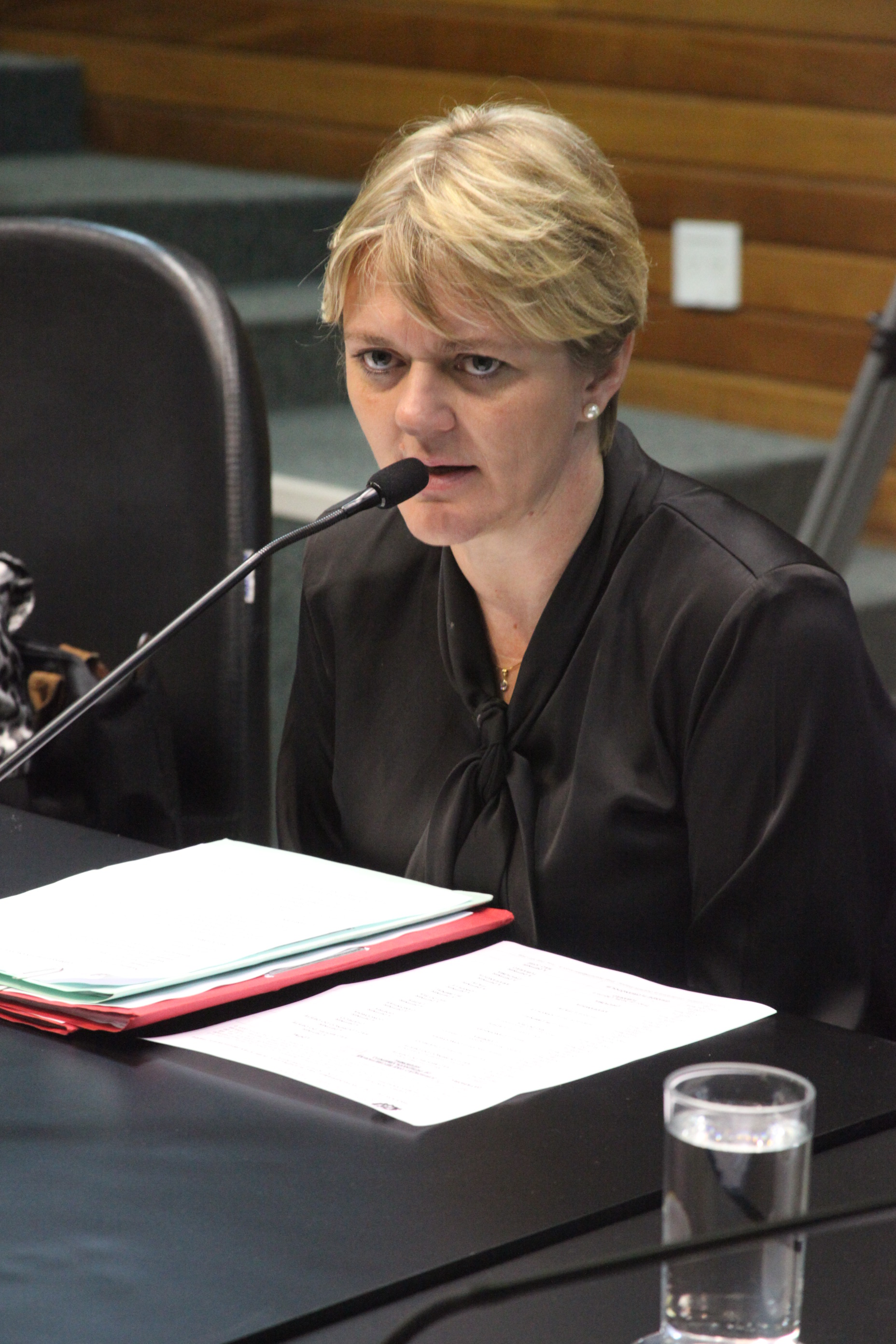 Deputada Luciane Carminatti (PT). Reunião da Comissão de Finanças e Tributação. Foto: Fábio Queiroz / Agência AL
