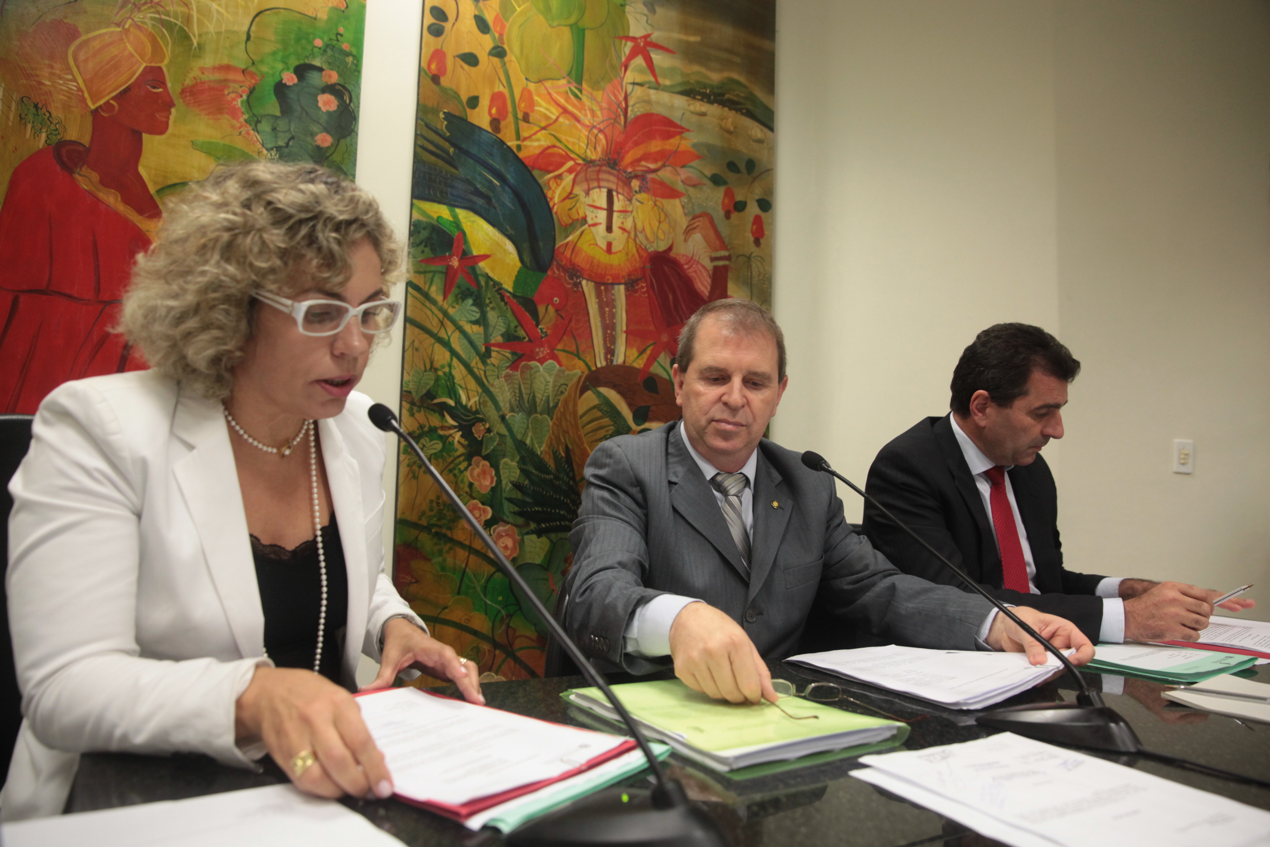 Reunião da Comissão de Segurança Pública   Foto   Carlos Kilian/Agencia AL