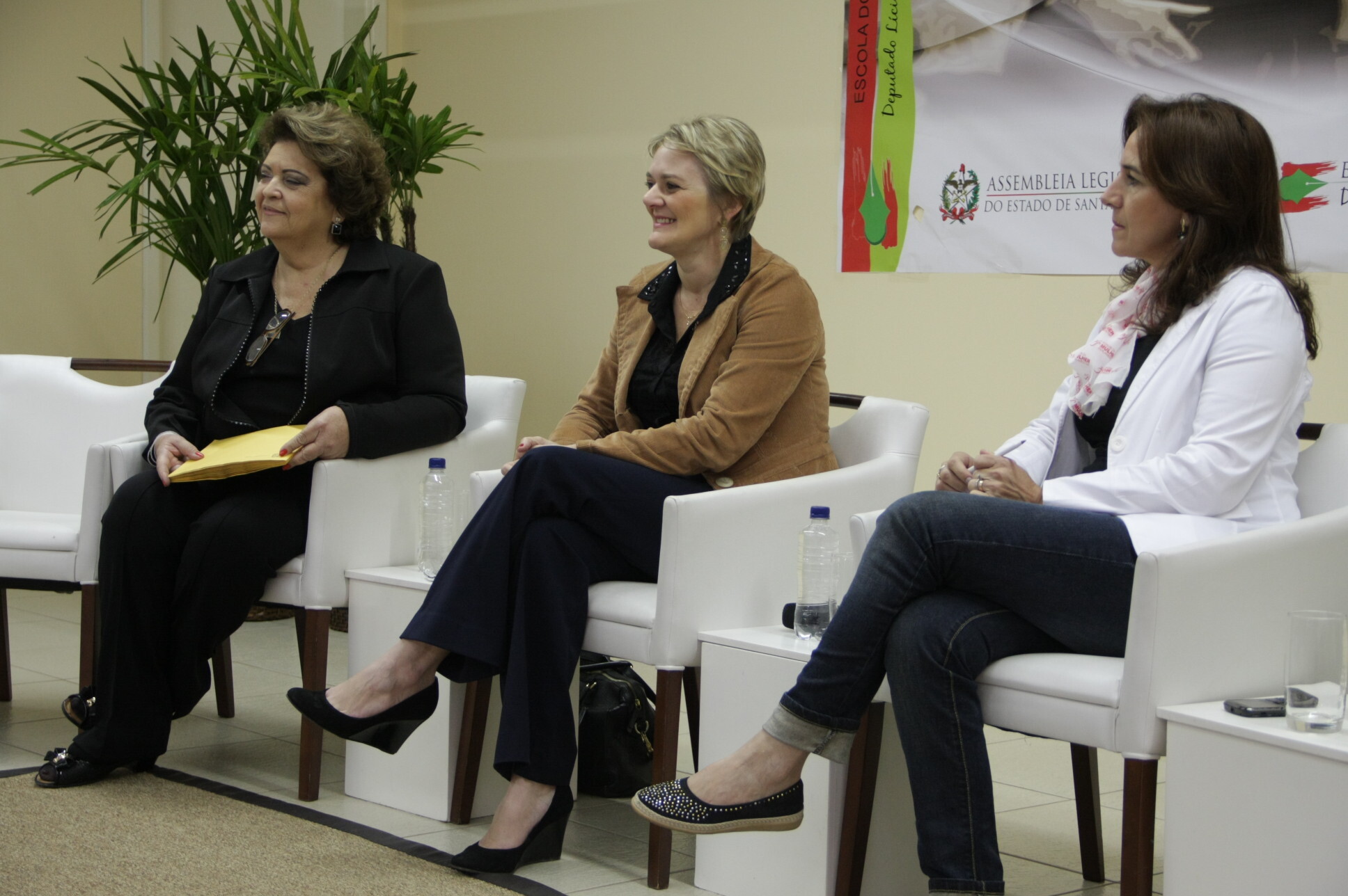 Mulheres parlamentares definem prioridades para 2014