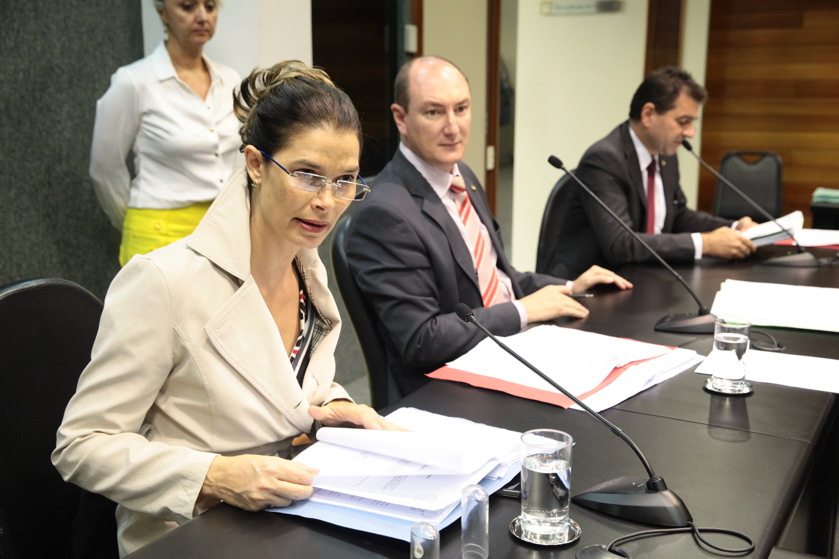 Reunião da Comissão de Trabalho, Administração e Serviço Público. Foto: Miriam Zomer/Agência AL