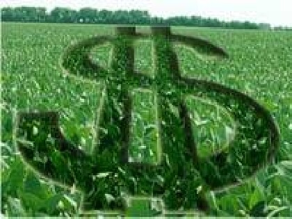 Estúdio Aberto: denúncia aponta irregularidade em repasse de verbas para associação de agricultores