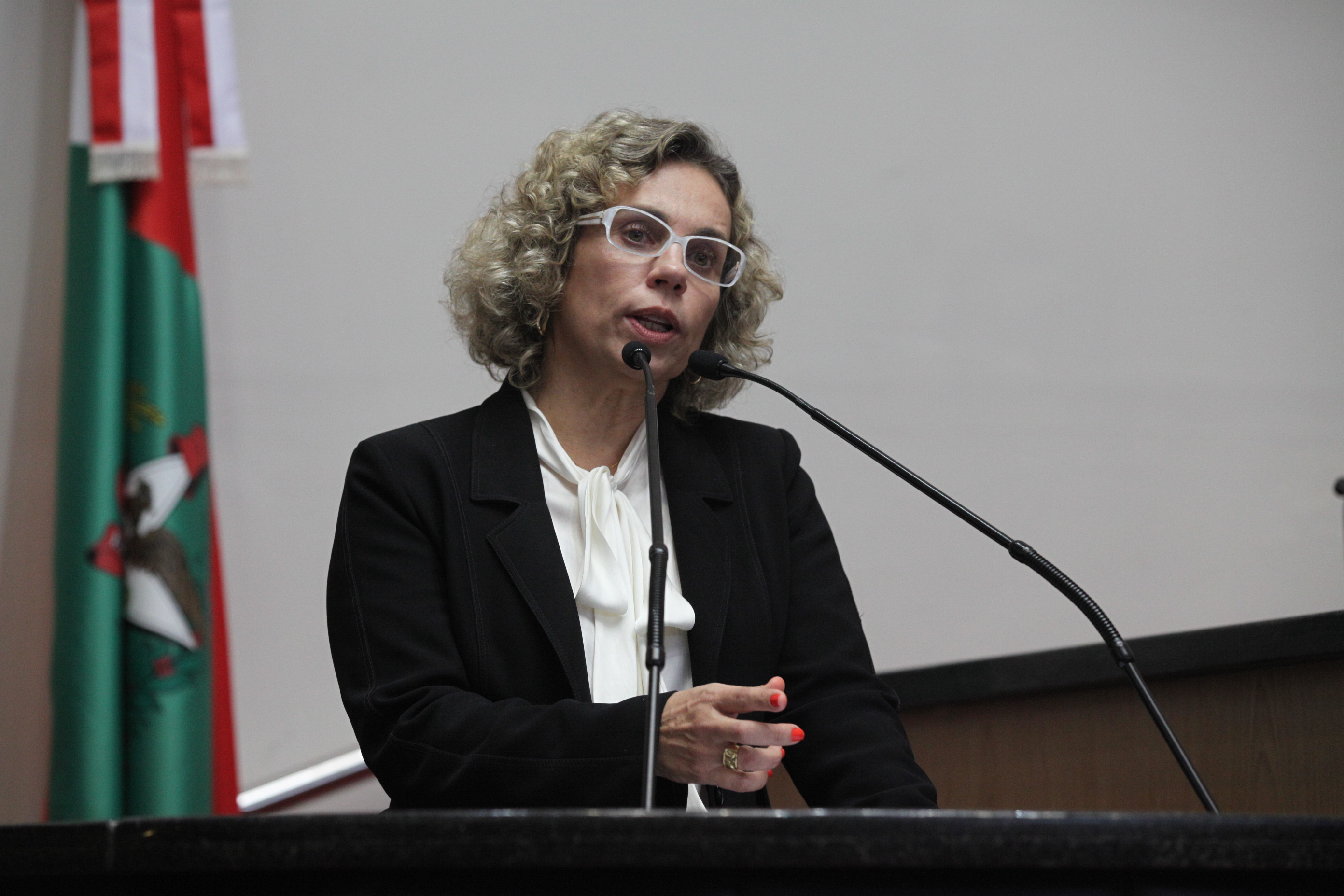 Sessão Ordinária - Deputada Ana Paula Lima (PT)