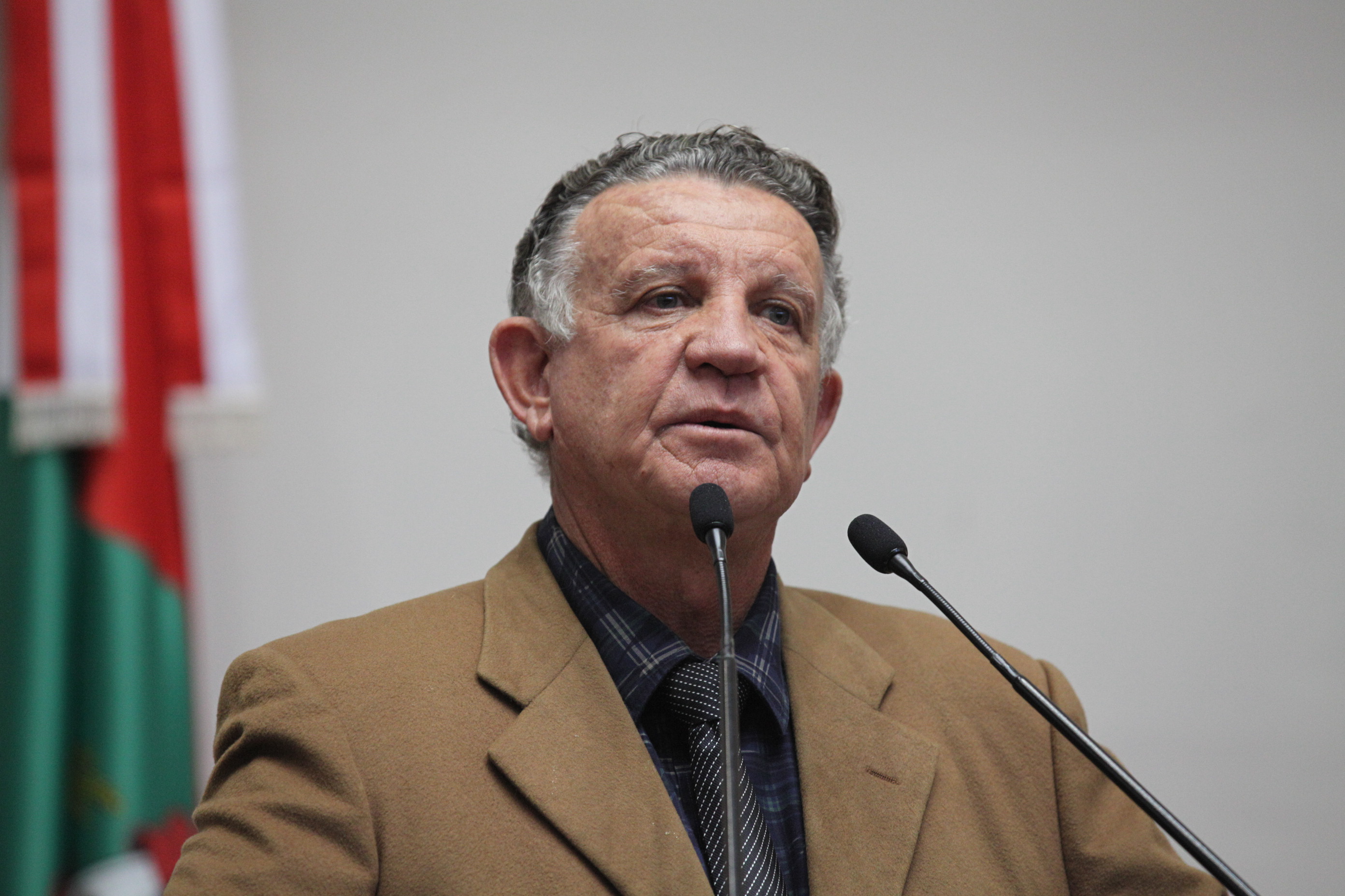 Sessão Ordinária - Deputado Edison Andrino (PMDB)