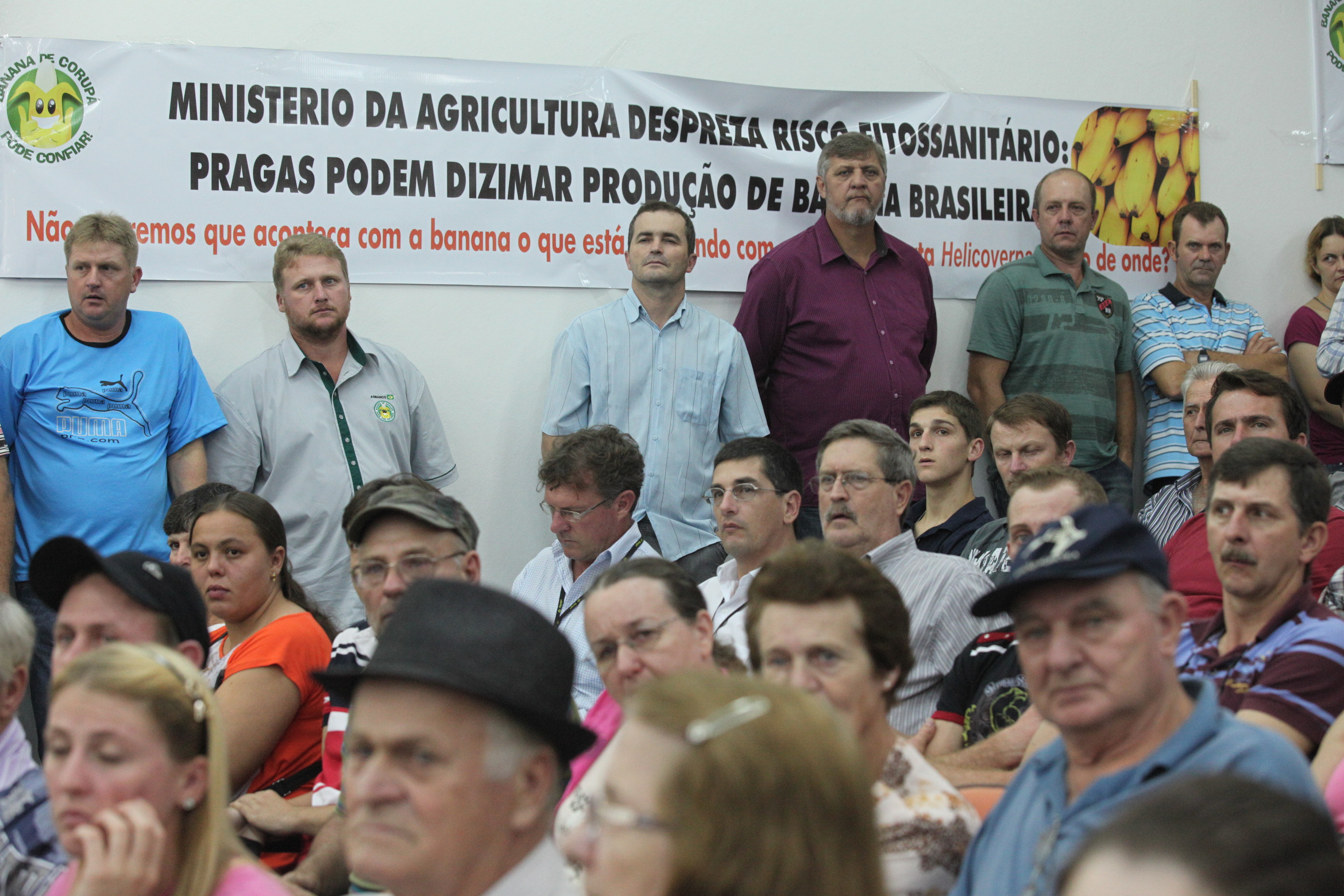 Audiência Pública em Guaramirim - Discussão sobre a importação de bananas do Equador