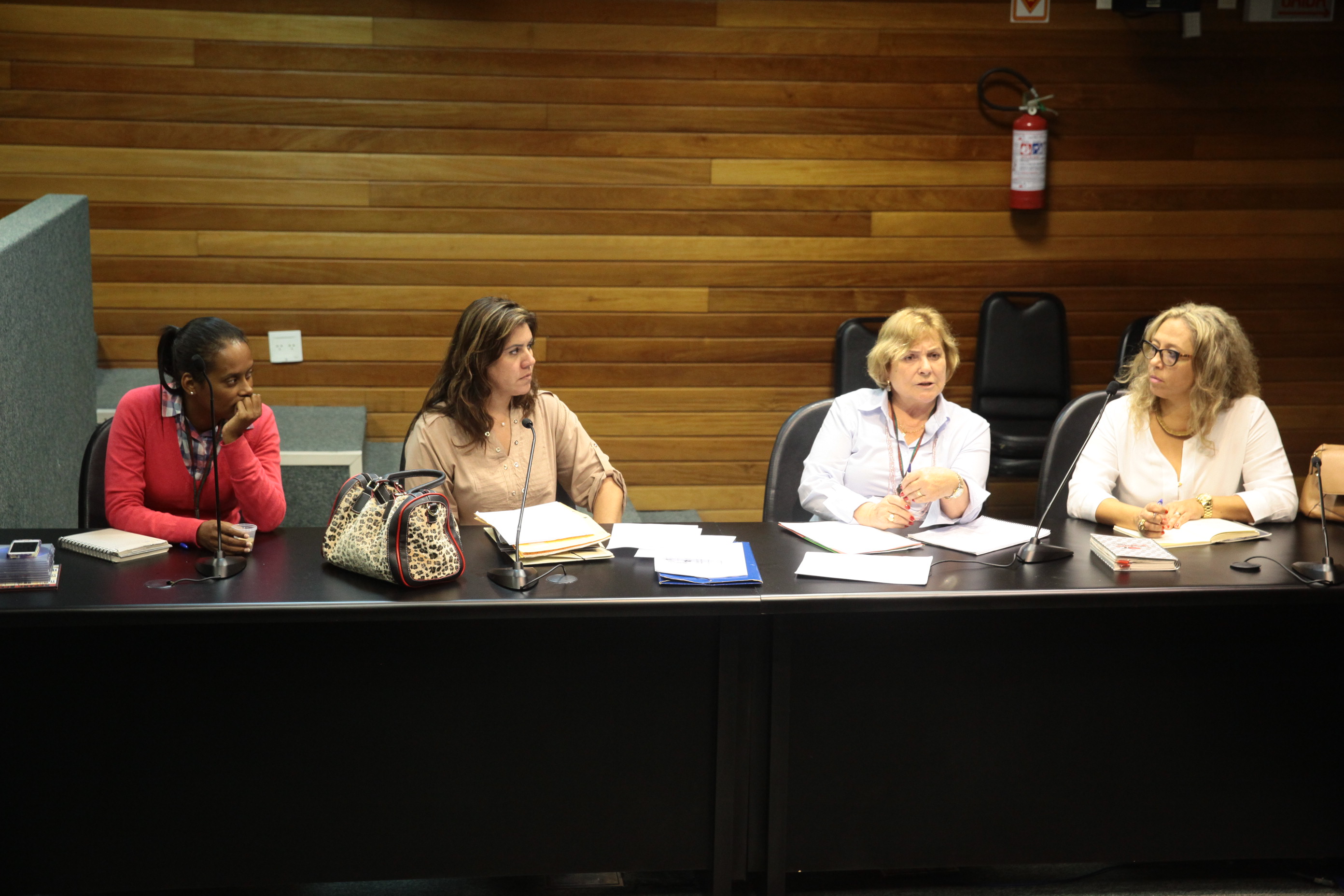 Reunião da Comissão da Verdade. Foto: Miriam Zomer/ Agência AL