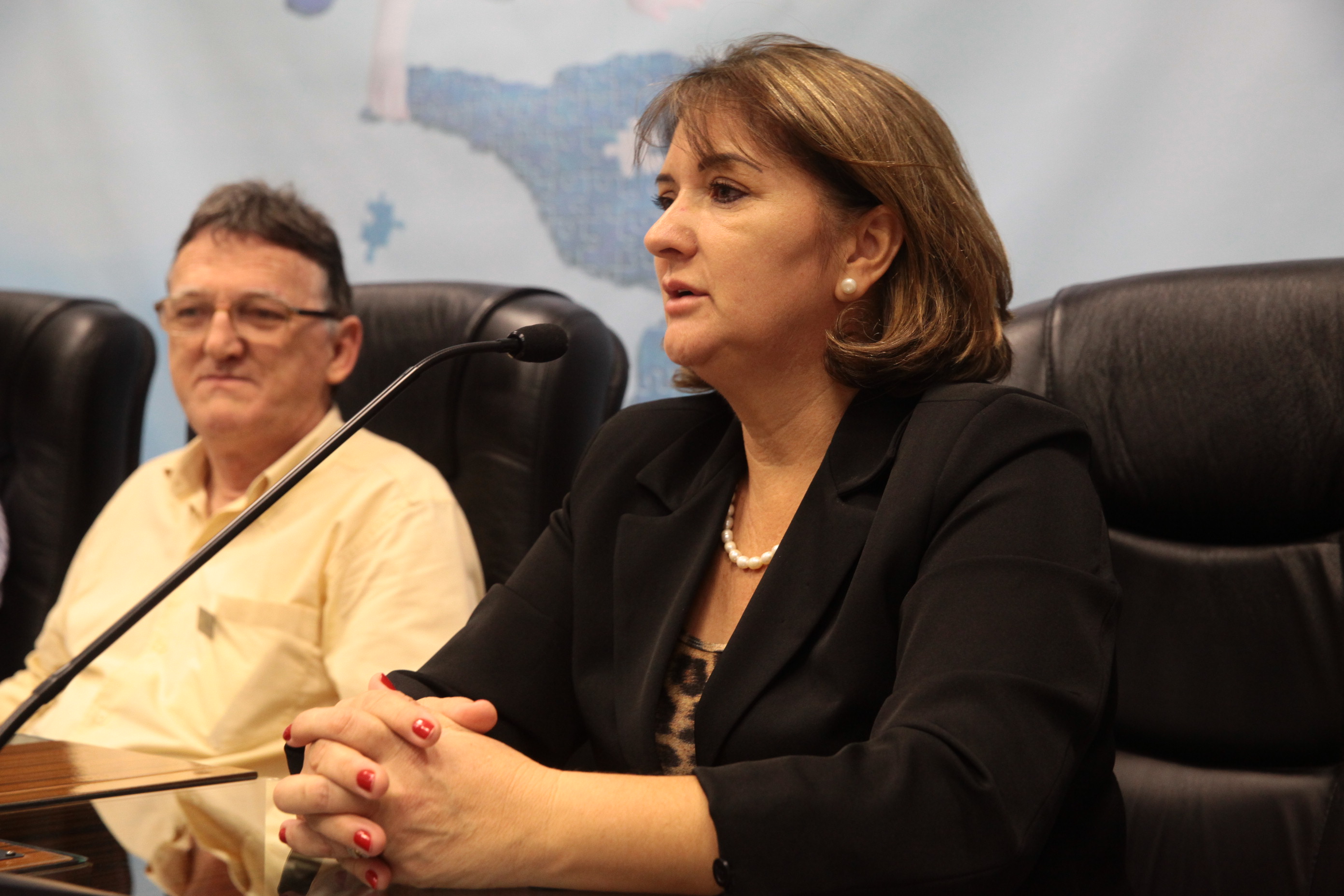 Seminário sobre Autismo em Joinville. Foto: Miriam Zomer/Agência AL
