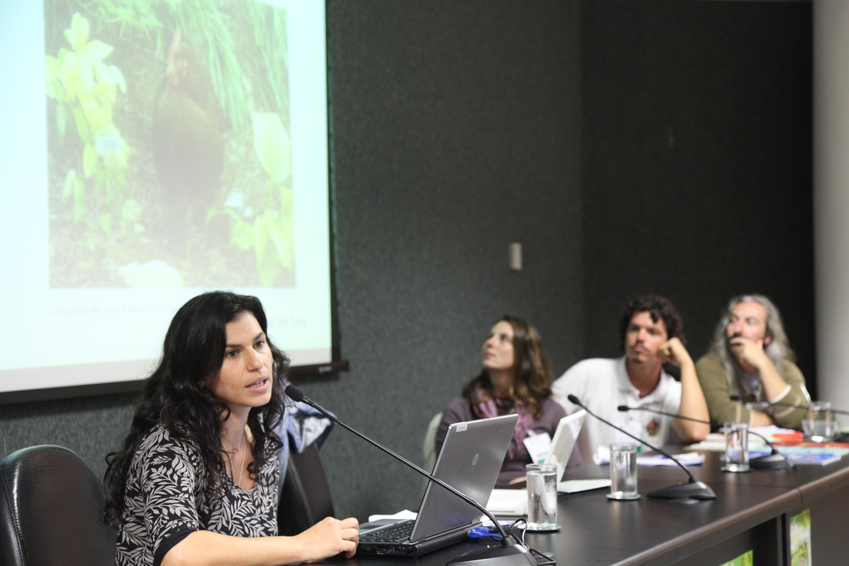 Sustentar 2014 - Juliana Torquato - Centro de Estudos Sociais da Universidade de Coimbra