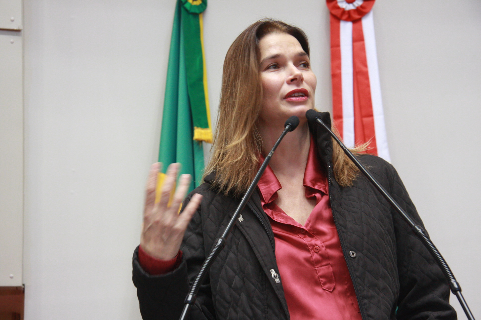 Sessão Ordinária - Tarde. Foto: Eduardo Guedes de Oliveira / Agência AL