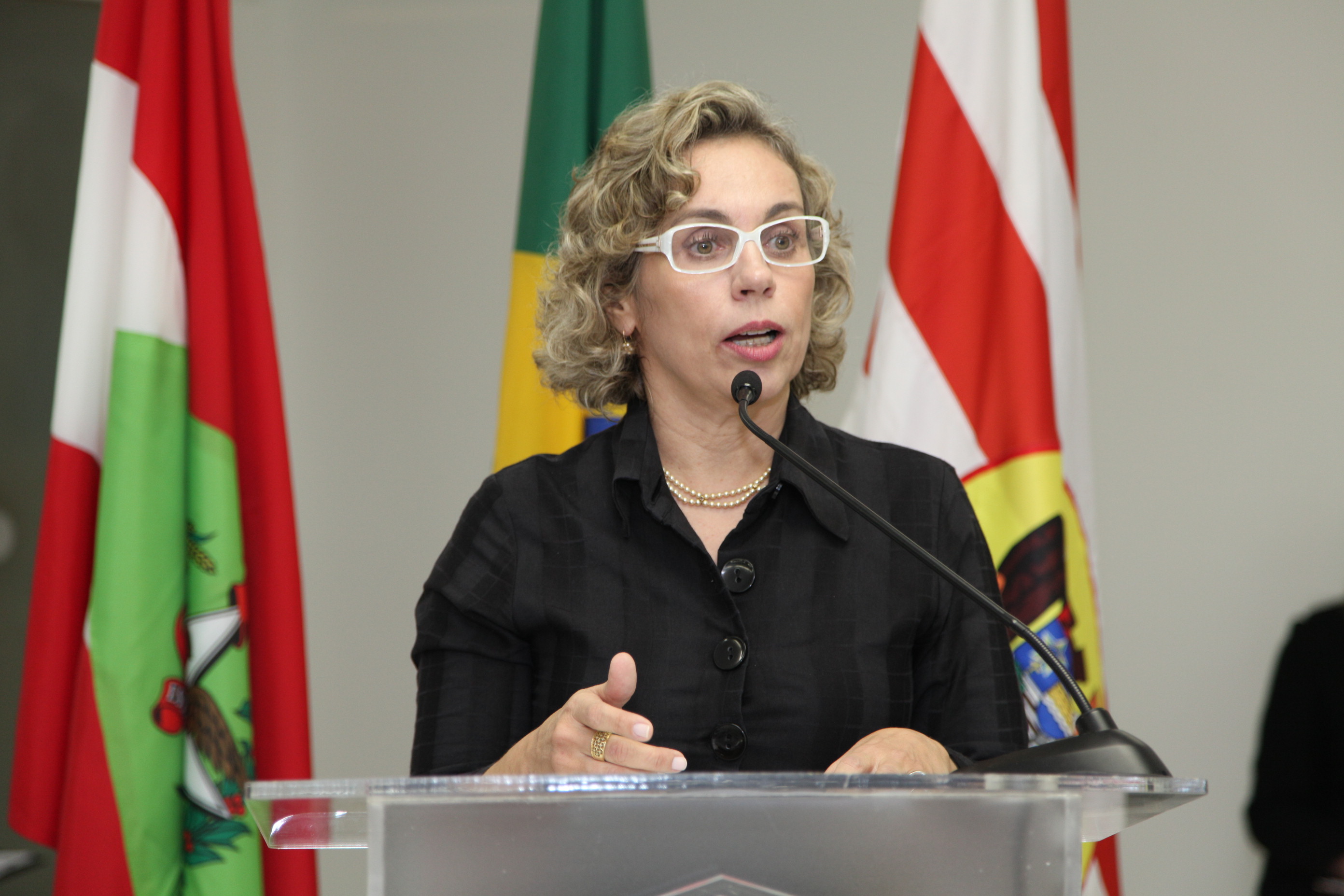 Sessão Solene em homenagem aos Sindicatos Representativos dos Trabalhadores da Cidade de Blumenau