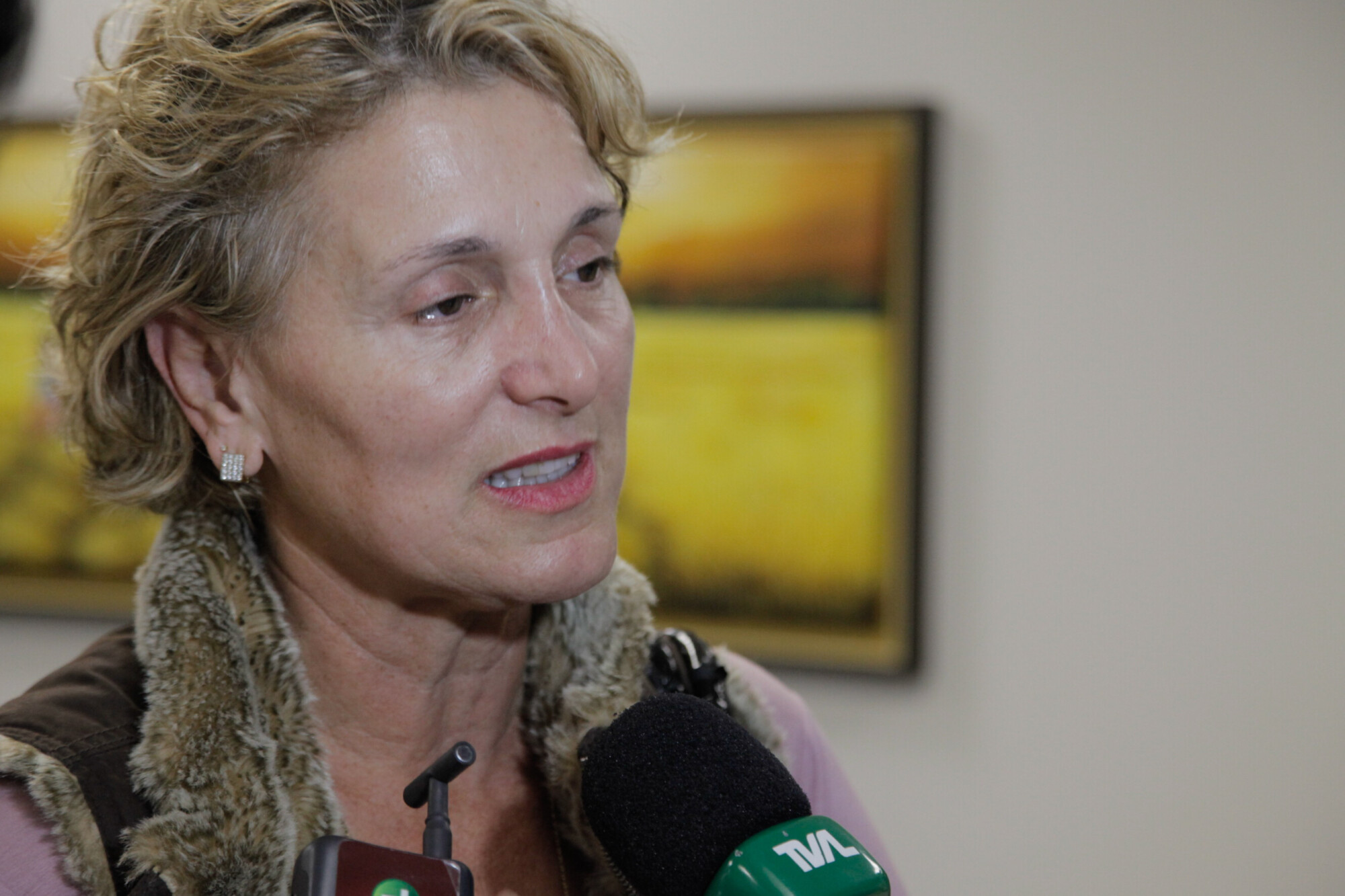 APAE de Penha pede apoio do legislativo para evento da entidade