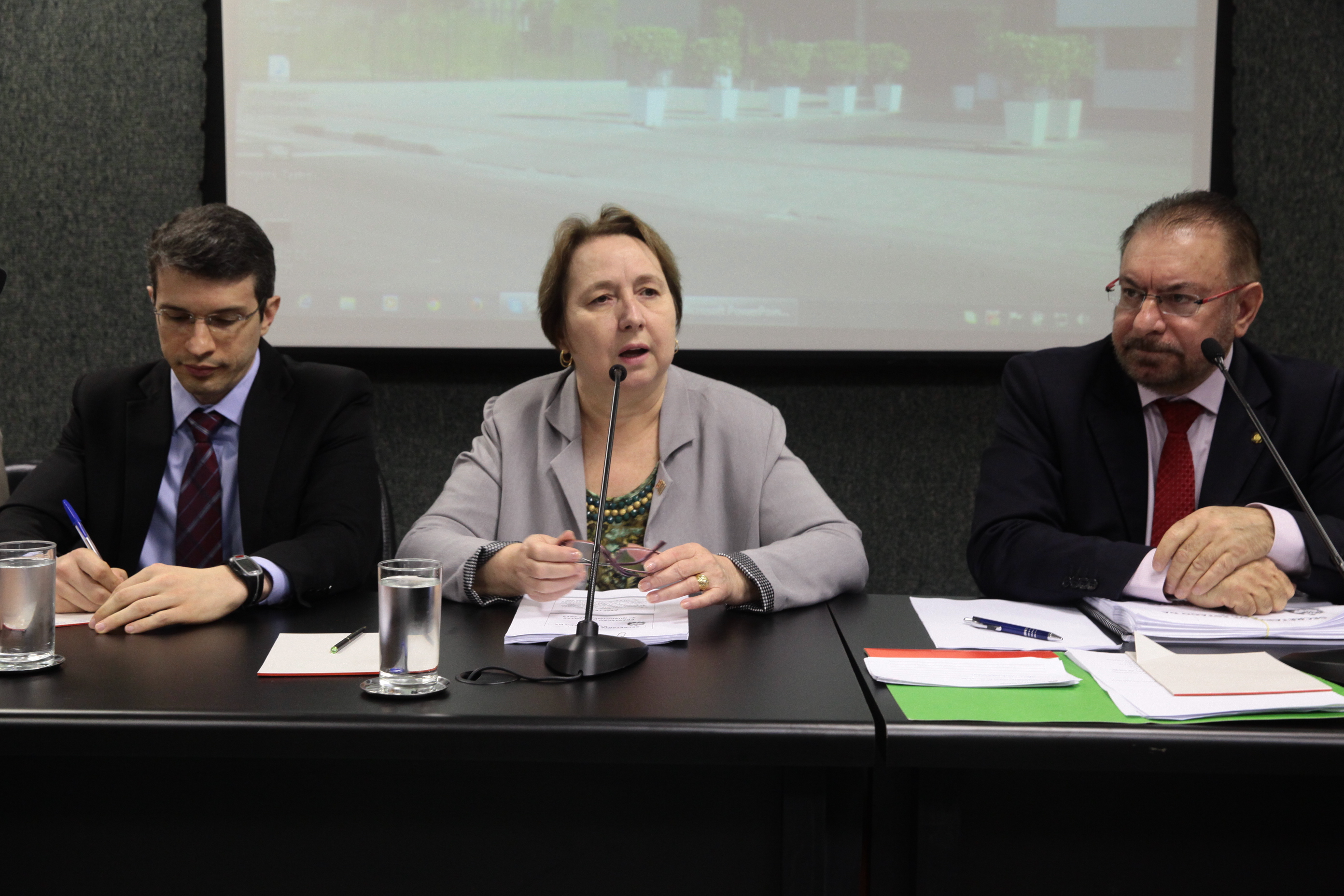 Audiência Pública Prestação de Contas SES