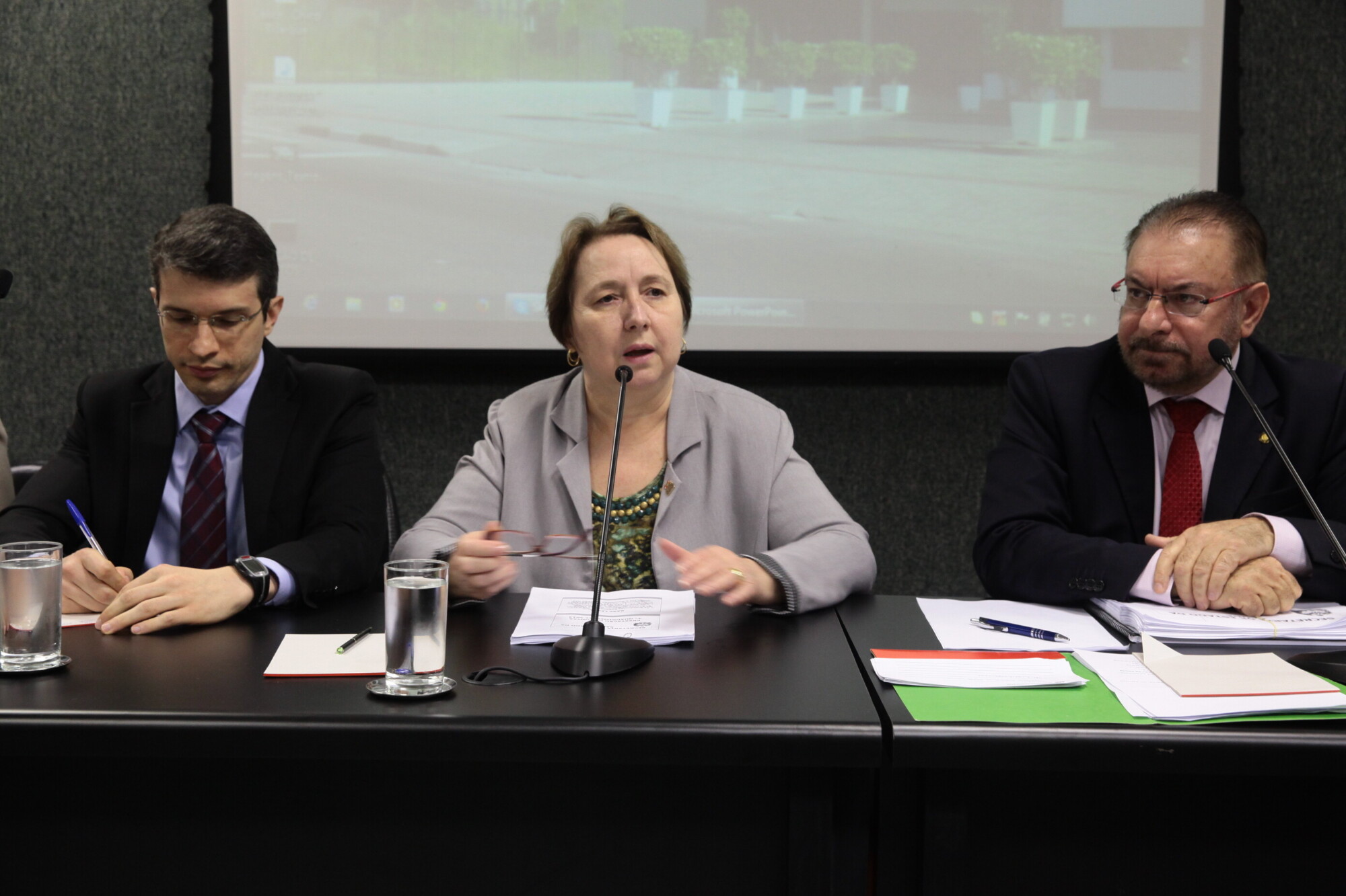 Secretaria de Estado da Saúde presta contas do 3º quadrimestre de 2013