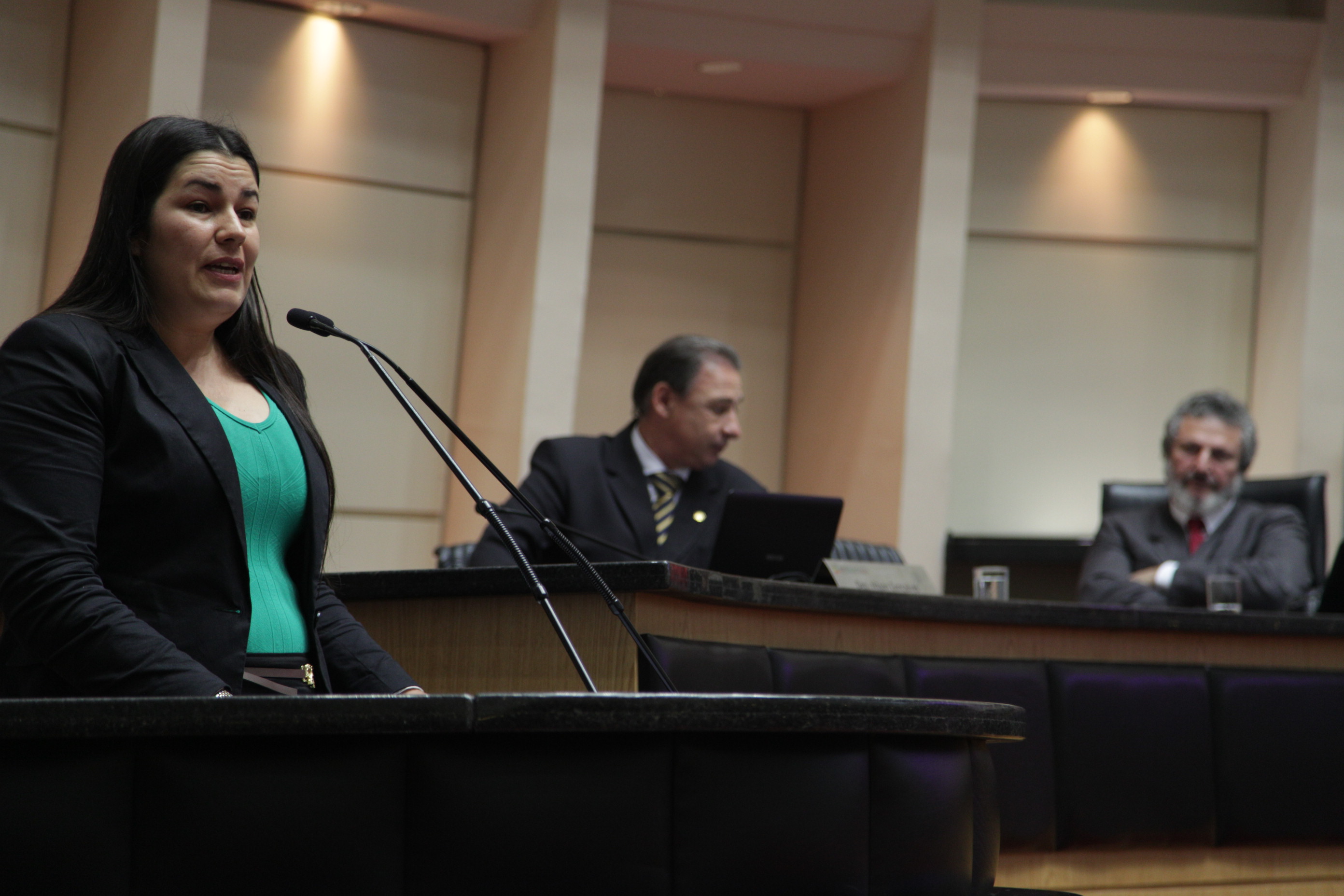 Rosane Cavalheiro. Sessão Ordinária da Assembleia Legislativa do Estado de Santa Catarina. Foto: Solon Soares/Agência AL