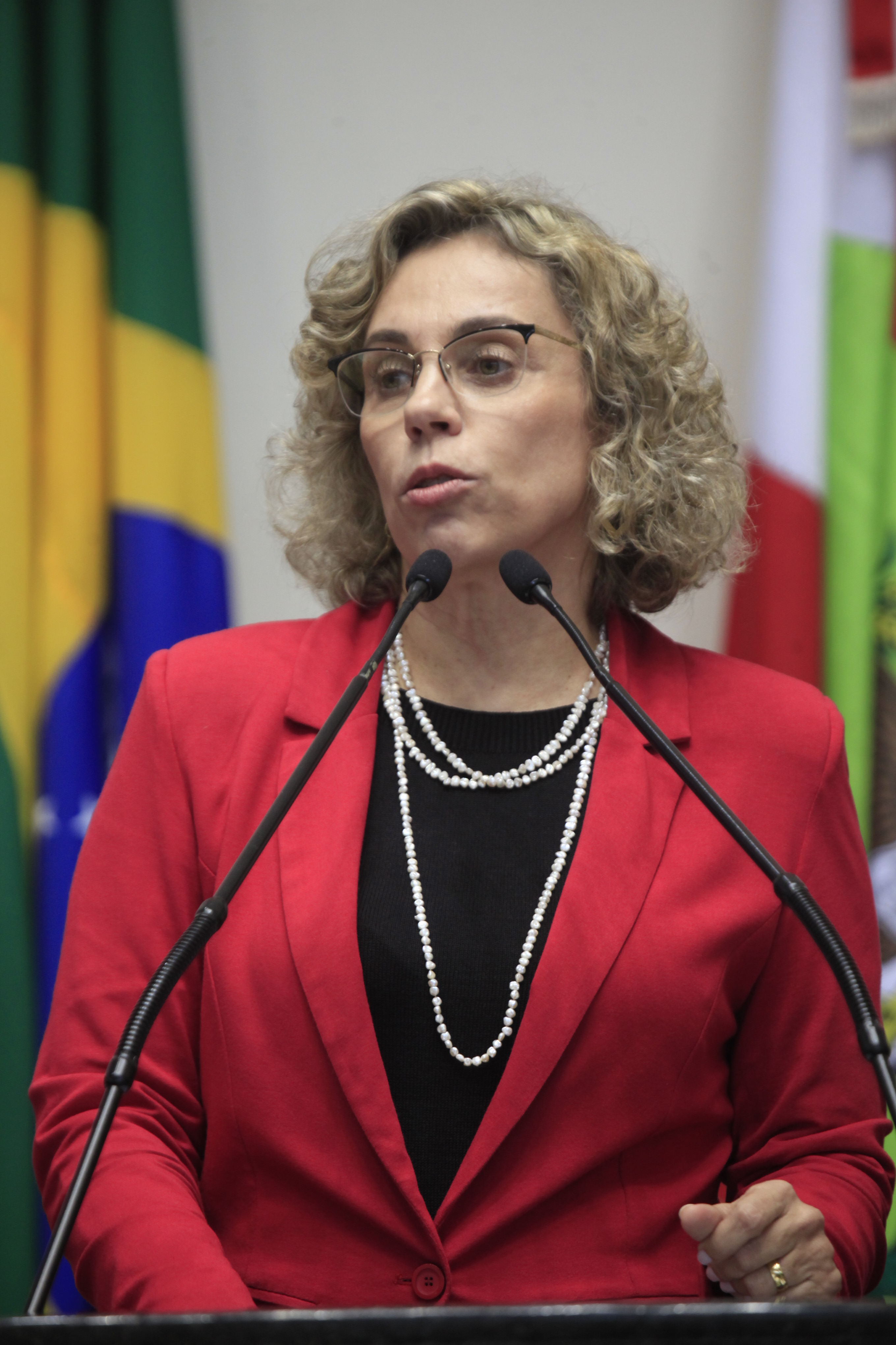 Sessão Ordinária. Foto: Carlos Kilian/Agência AL