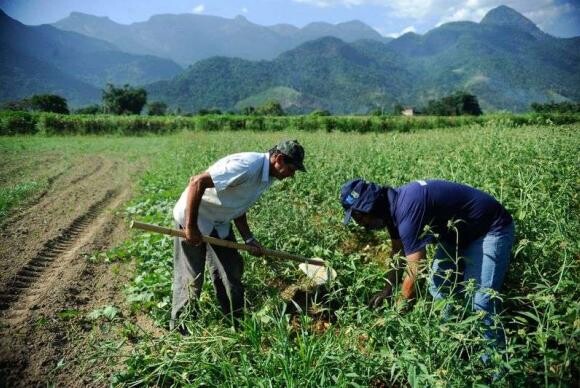Sistema de cadastramento ambiental rural já está disponível em SC