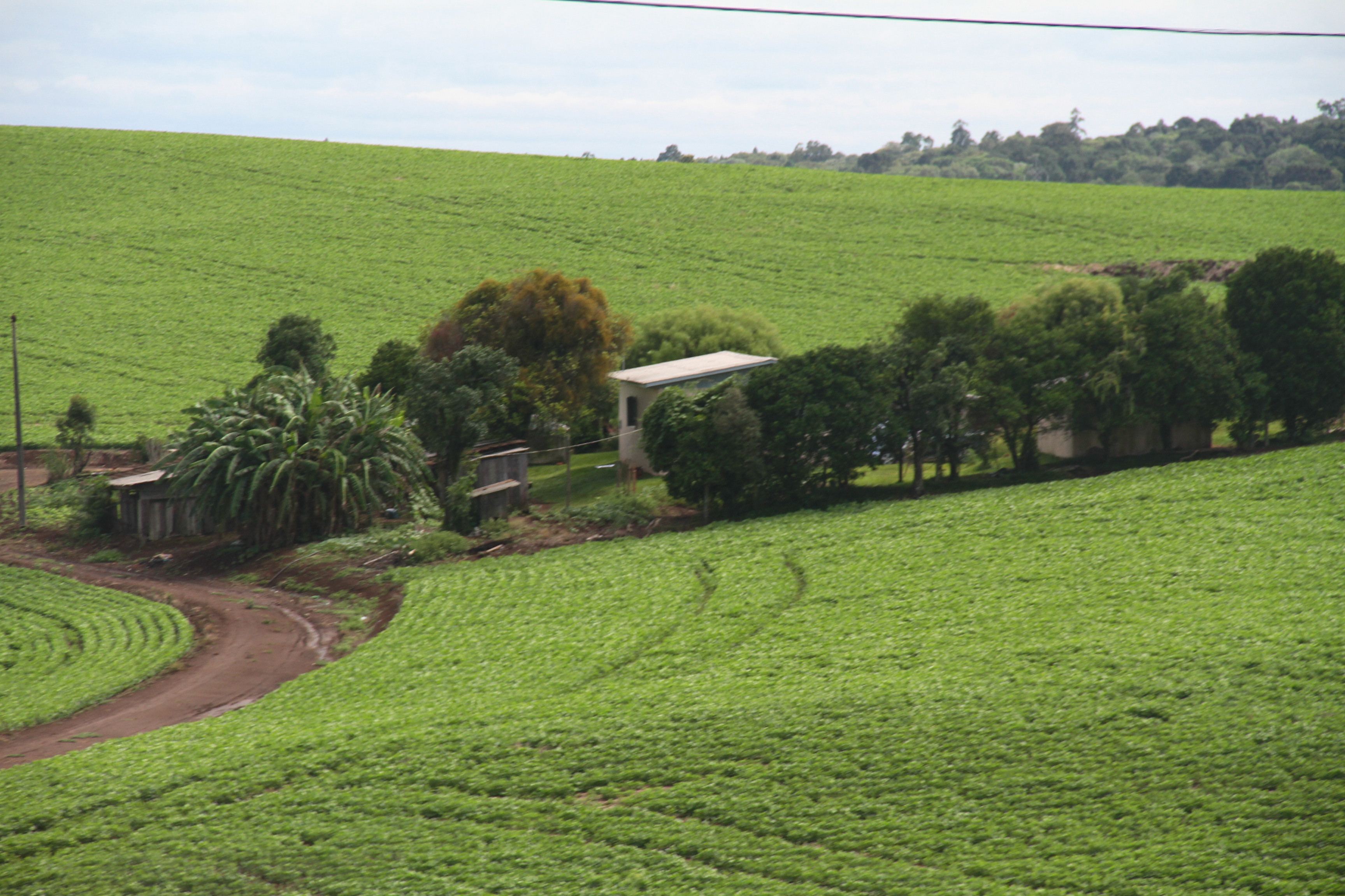 Zona Rural de SC