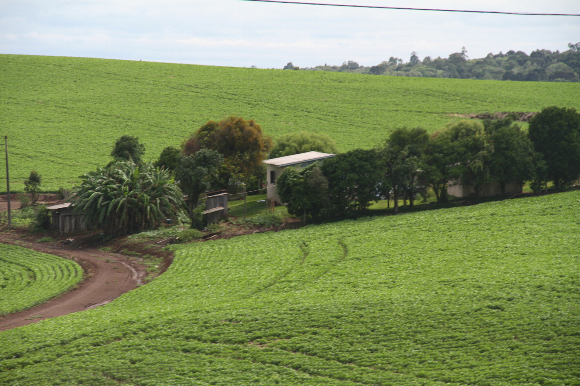 Cadastro Ambiental Rural está disponível para proprietários rurais