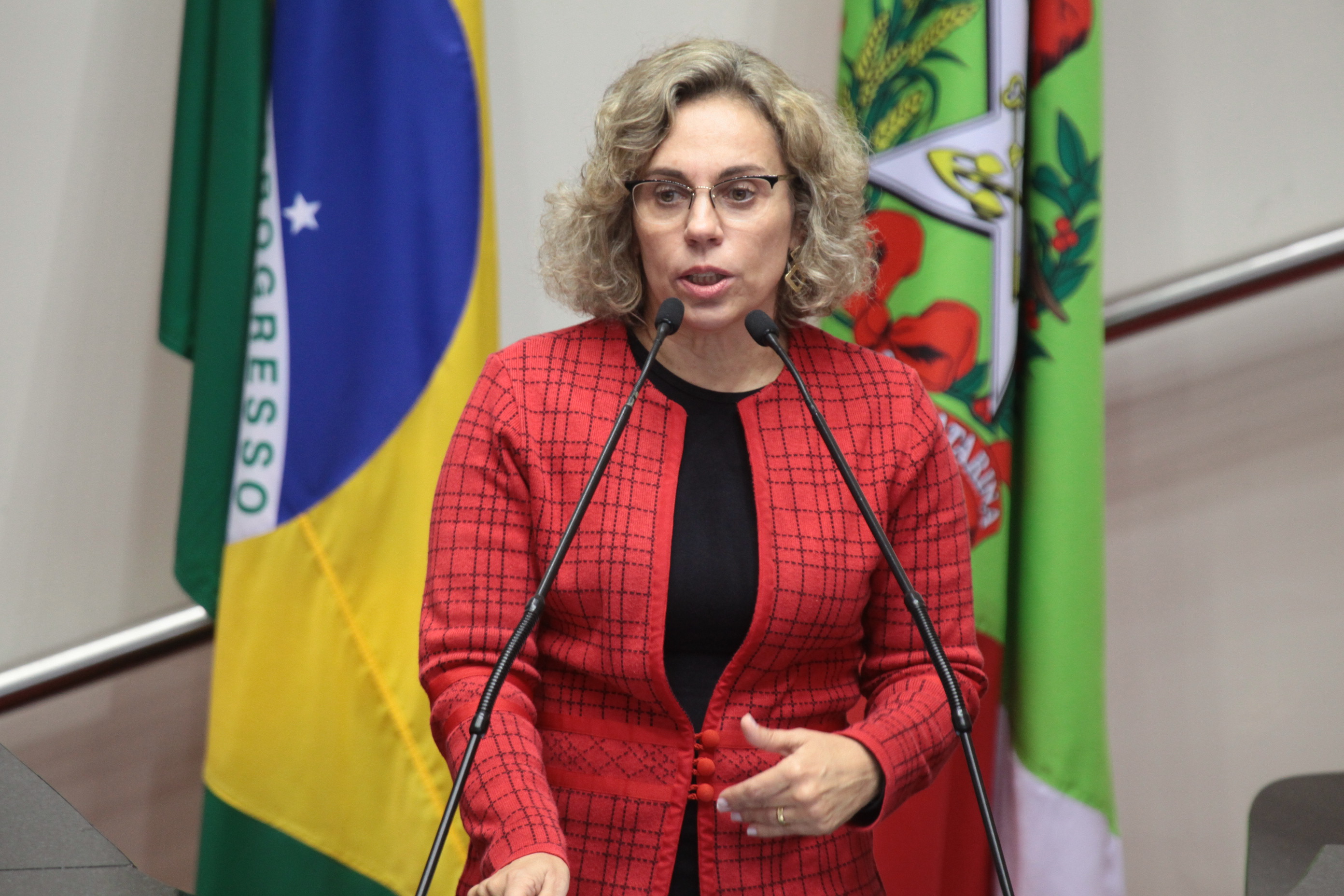 Deputada Ana Paula Lima (PT) Sessão Ordinária - Plenário Osni Regis. Foto: Miriam Zomer/Agência AL