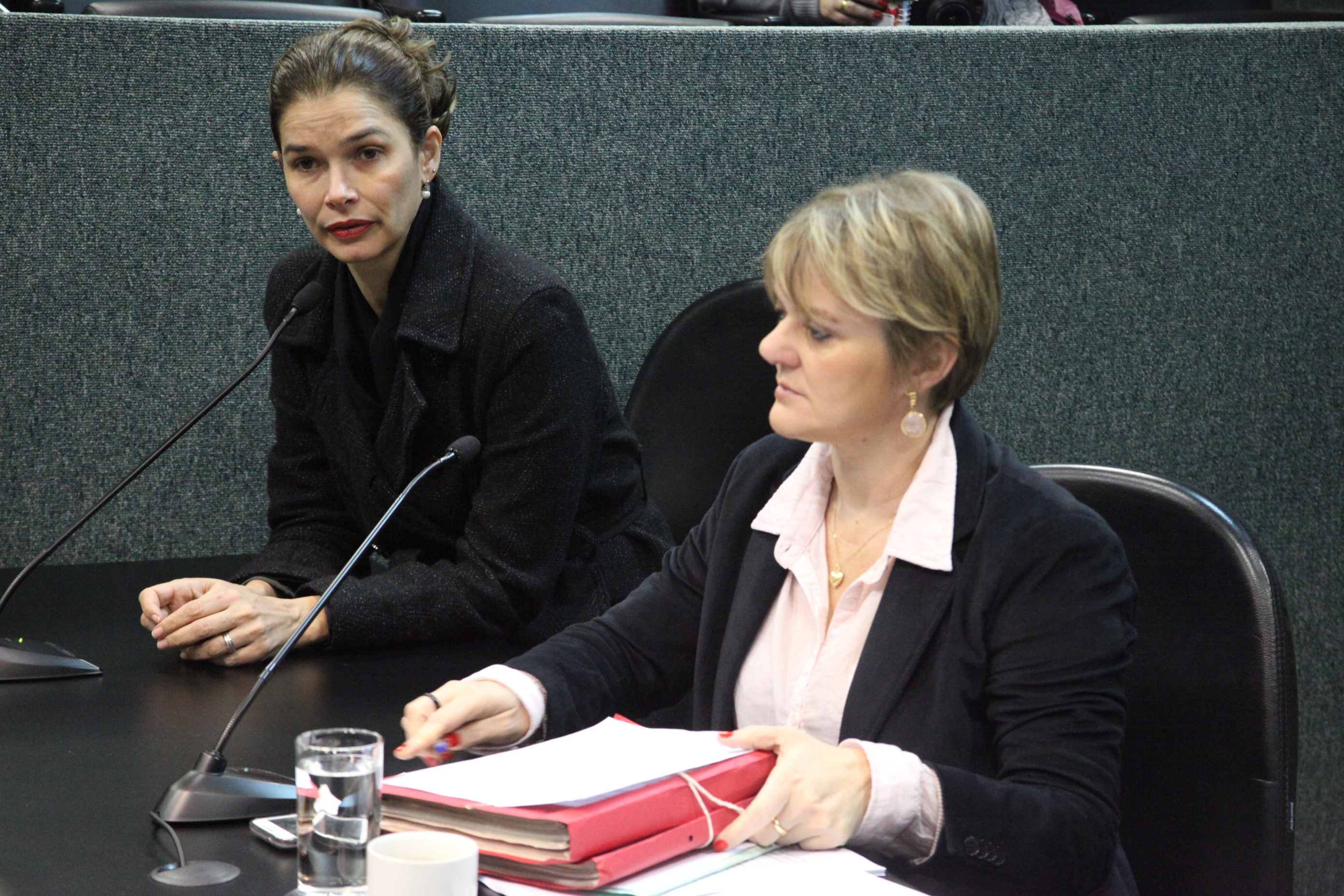 Reunião da Comissão Finanças e Tributação. Foto: Fábio Queiroz / Agência AL