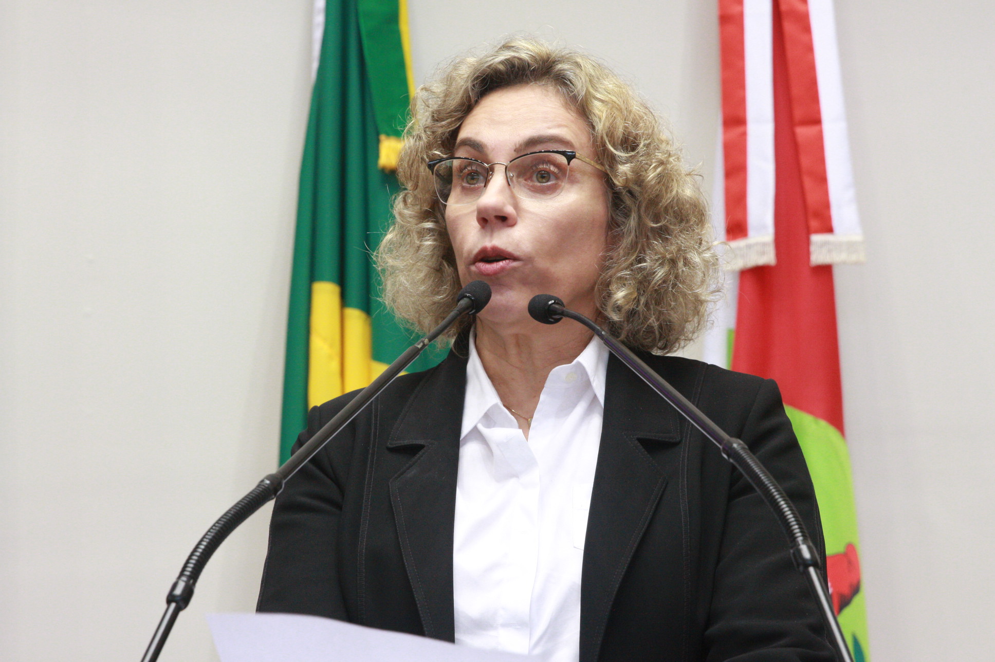 Deputada Ana Paula Lima (PT)  - Sessão Ordinária. Plenário Osni Regis. Foto:Eduardo Guedes de Oliveira/Agência AL