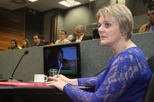 Deputada Luciane questiona secretário sobre obras no Oeste