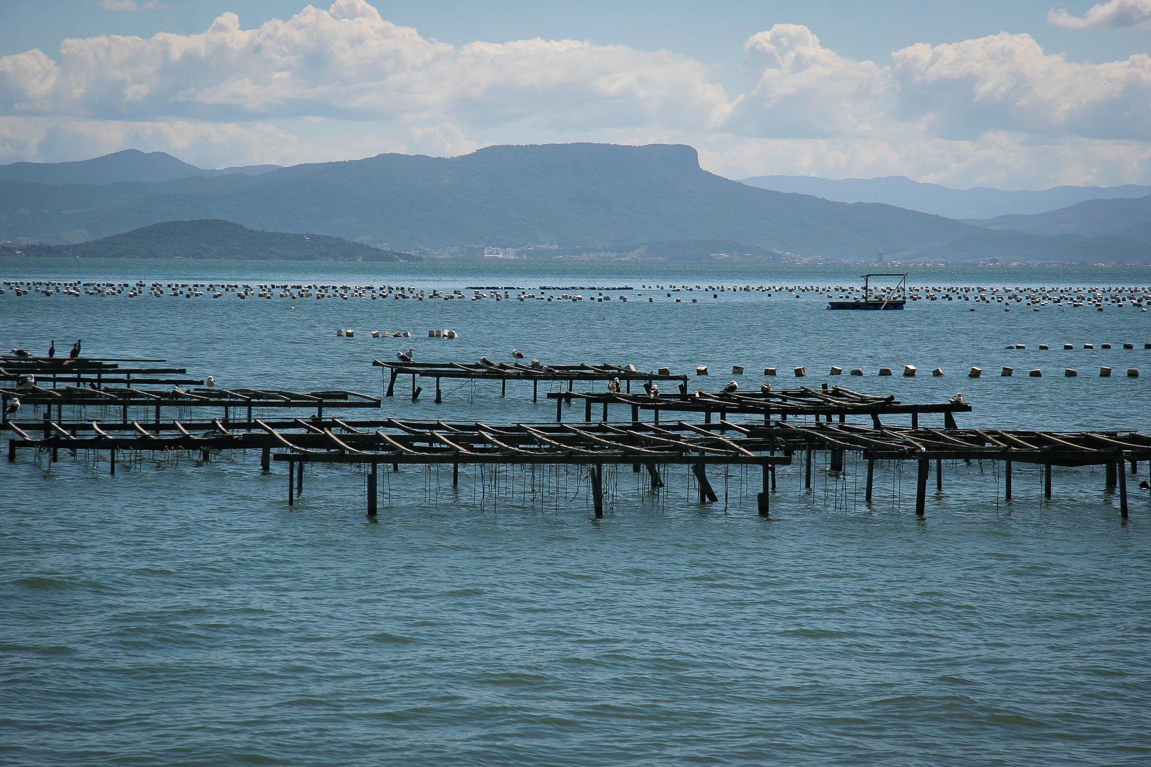 Ribeirão da Ilha - Florianópolis. Foto: Miriam Zomer