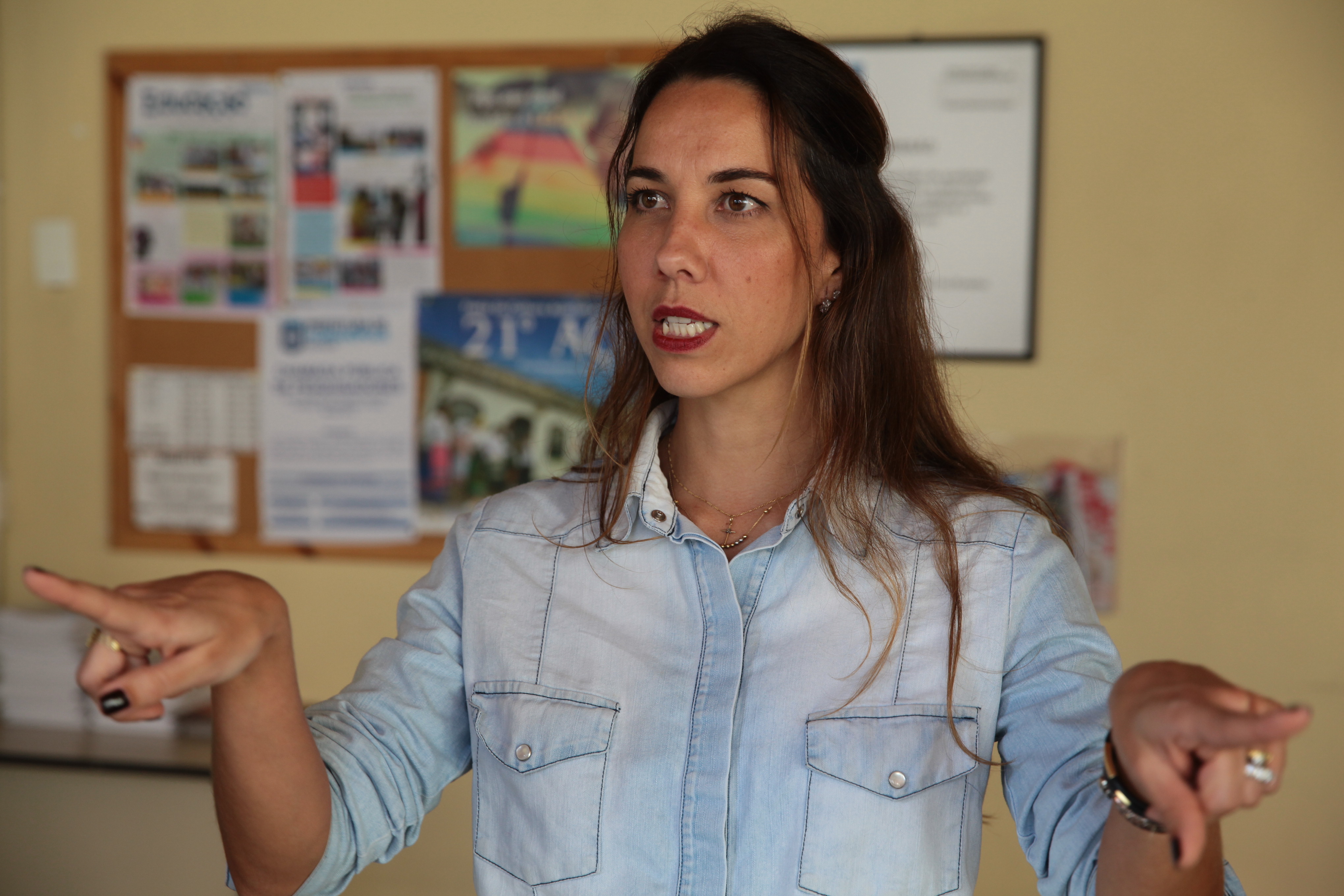 Coordenadora do Projeto FENIX, Silvia da Luz. Foto: Miriam Zomer/ Agência AL