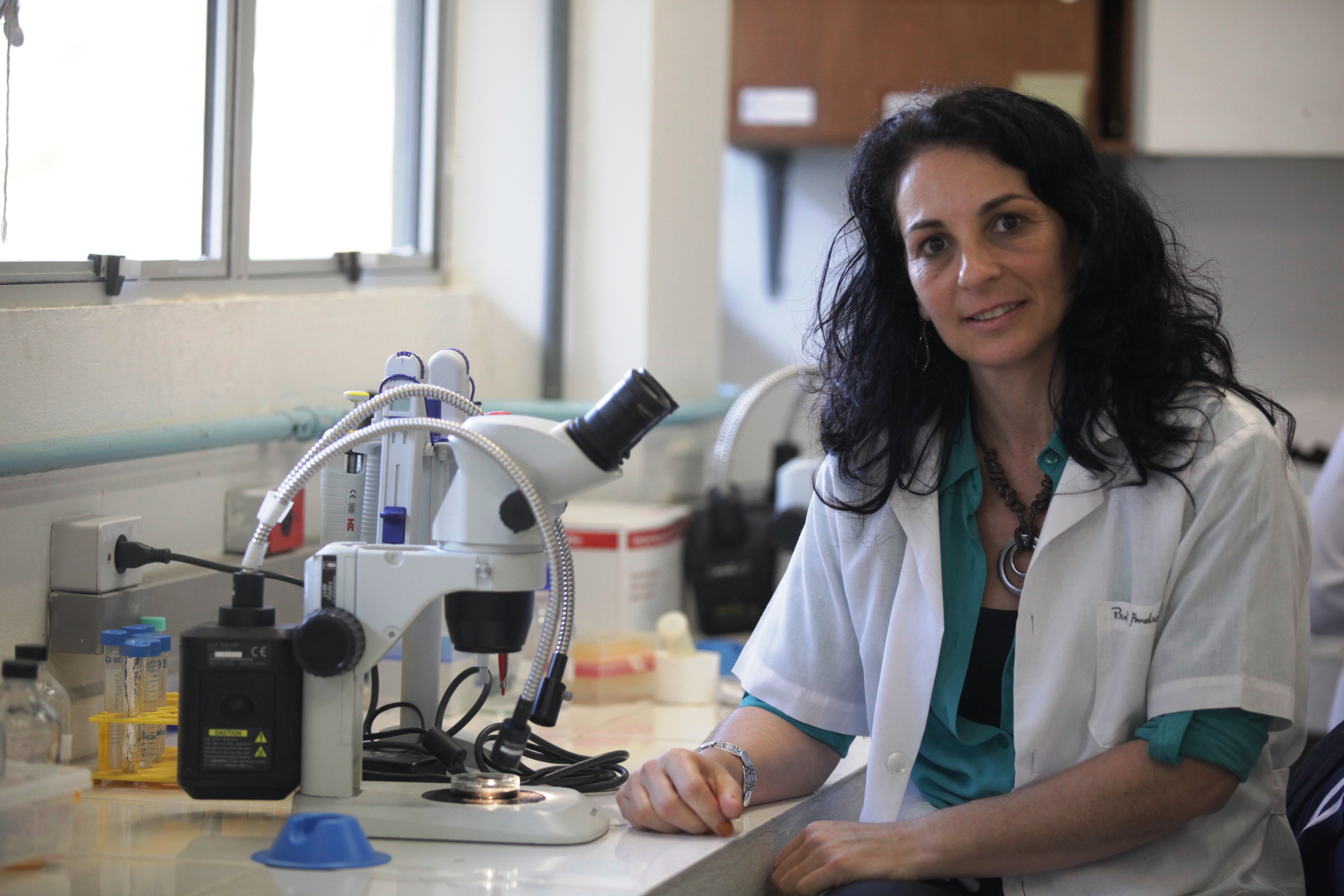 Professora Andréa Gonçalves Tretin PhD   Foto Carlos Kilian/Agência AL