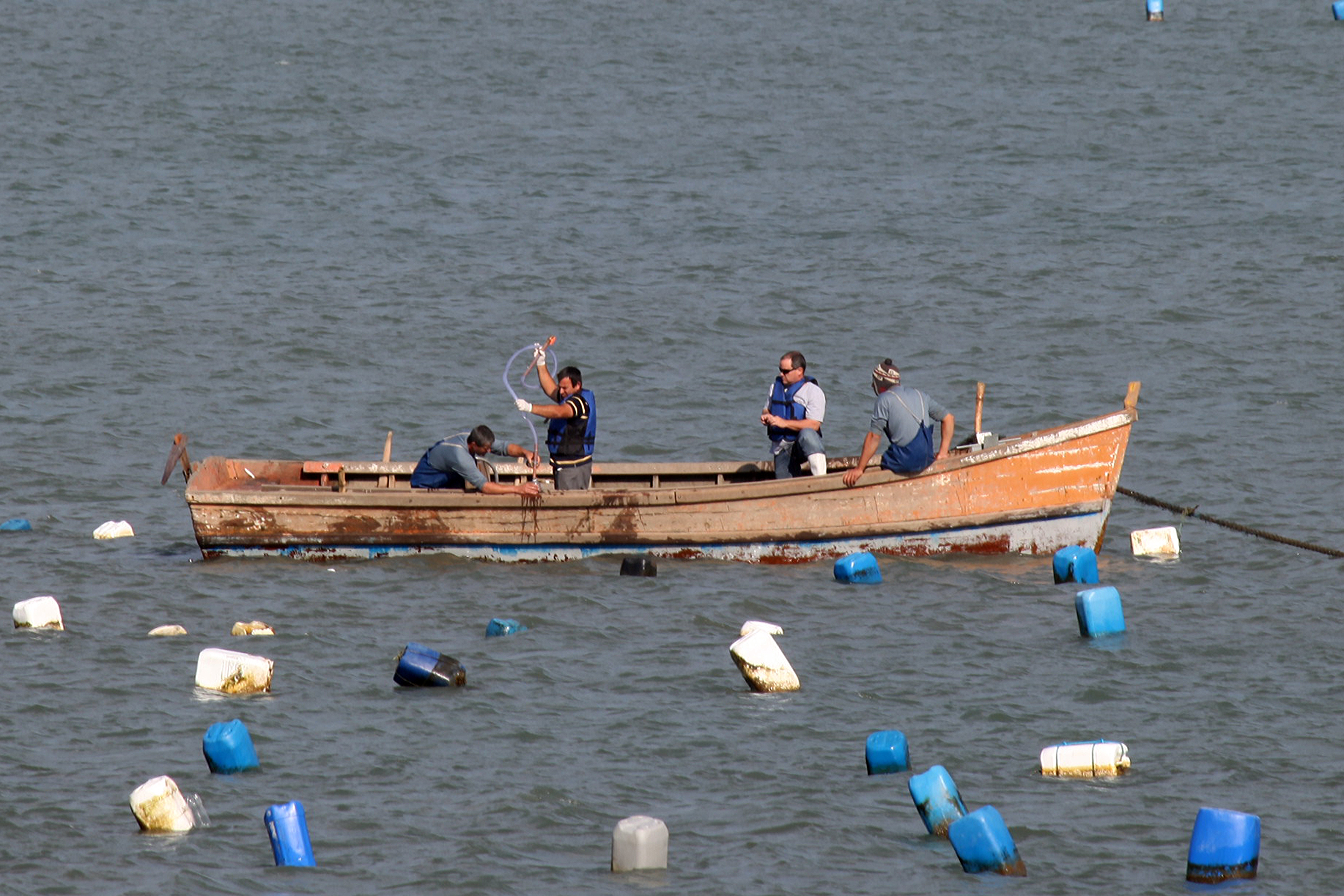 Técnicos da Cidasc coletam amostras da água do mar para medir o nível de toxinas. Foto: Fábio Queiroz / Agência AL