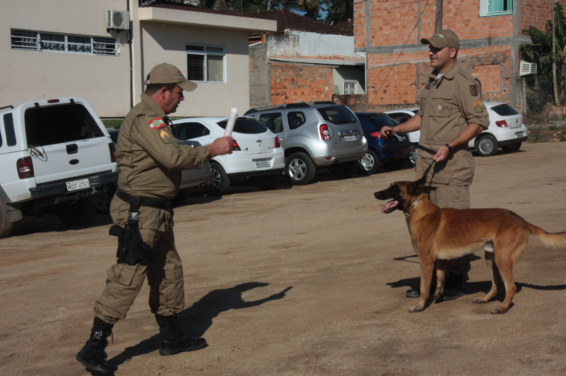 Cães Farejadores da Polícia Militar. Foto: Eduardo Guedes de Oliveira / Agência AL