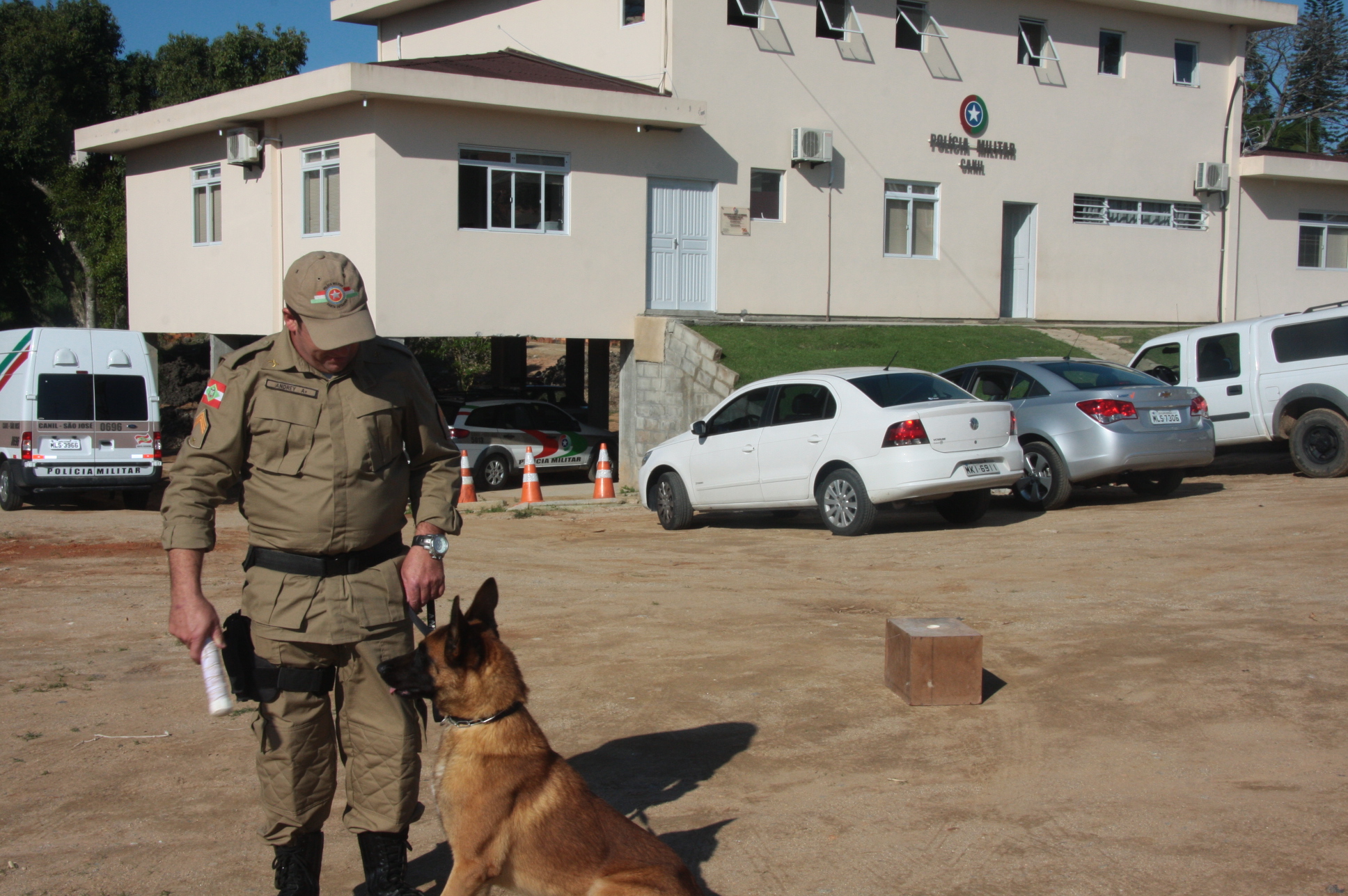 Cães Farejadores da Polícia Militar. Foto: Eduardo Guedes de Oliveira / Agência AL