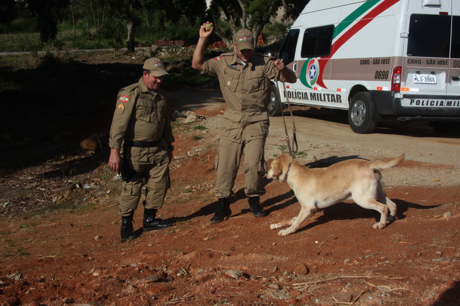 Cães Farejadores da Polícia Militar. Foto: Eduardo Guedes de Oliveira / Agência AL