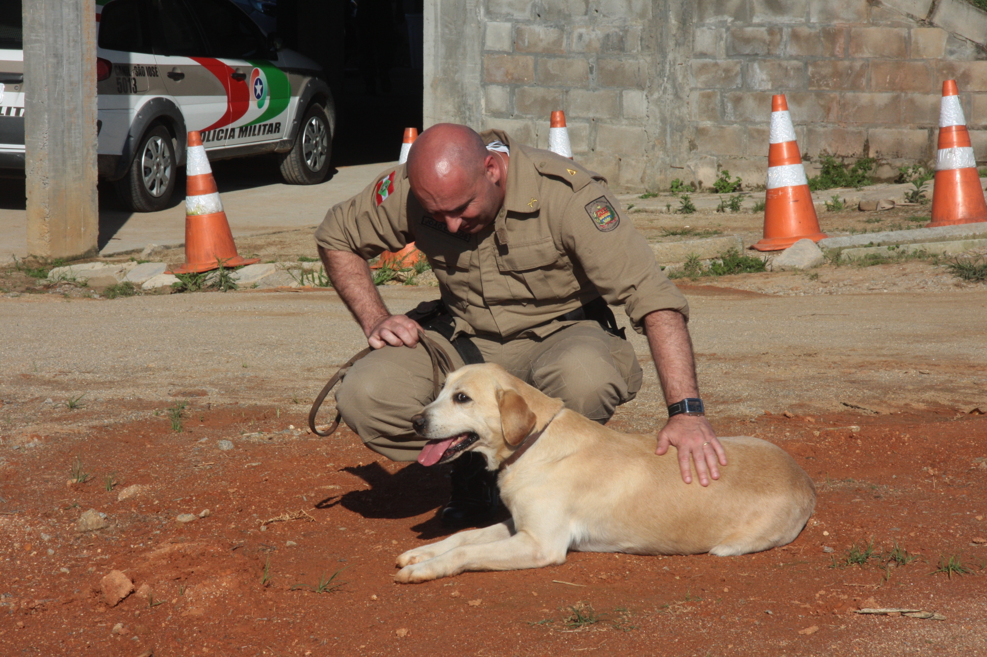 Cães Farejadores da Polícia Militar. Foto: Eduardo Guedes de Oliveira / Agência AL